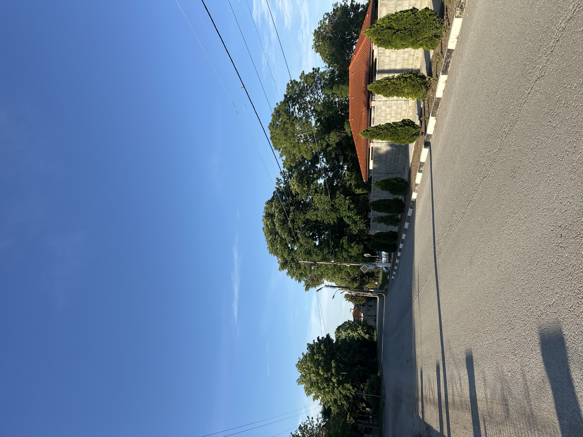 A street view in Pliska, Bulgaria, features a building with a red tiled roof and concrete block walls trimmed with rows of pruned, conical shrubs. The building abuts a gray asphalt road marked with black and white painted curbing. Shadows stretch across the road. Power lines traverse the upper portion of the sky. Trees line the street.