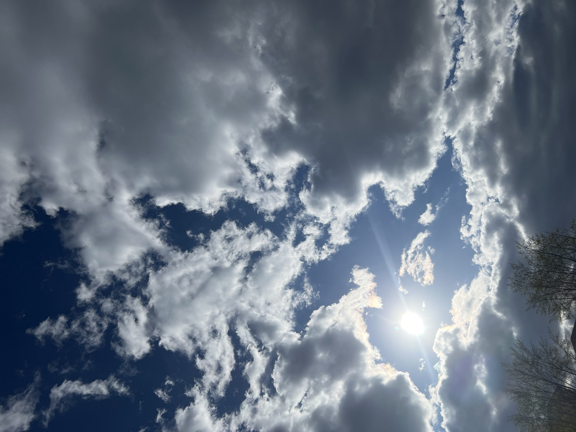The image shows a sky in Khimki, Russia. The sky is predominantly cloudy with patches of blue visible between the clouds. The sun is shining brightly, partially obscured by clouds, creating a glare in the image. The clouds are varying shades of white and gray. In the bottom right corner, there is a blurred glimpse of a tree with sparse foliage.
