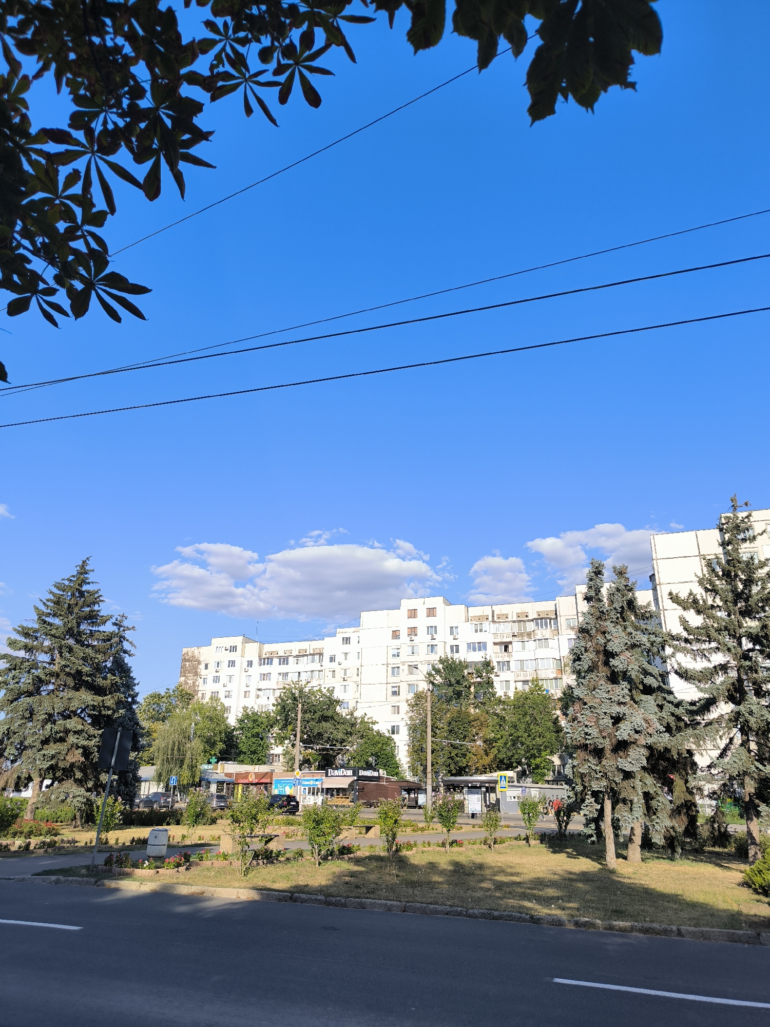 This is a street-level, eye-level shot of a residential area in Chișinău, Moldova, likely during daytime. A wide, paved road occupies the foreground. Beyond the road, a strip of green space features sparse vegetation, small ornamental plants, and some grass. A bus stop shelter is visible in the middle ground, with a few people walking nearby. Further back, a row of multi-story apartment buildings, typical of Soviet-era architecture, dominates the scene. These buildings are light-colored, with numerous windows and balconies. Several mature evergreen trees, likely spruce or fir, are interspersed throughout the landscape, adding vertical elements to the composition. Overhead, a bright blue sky with a few wispy clouds stretches across the upper portion of the frame. Power lines are strung across the sky, and the leaves of a large tree partially obscure the upper left corner of the image.