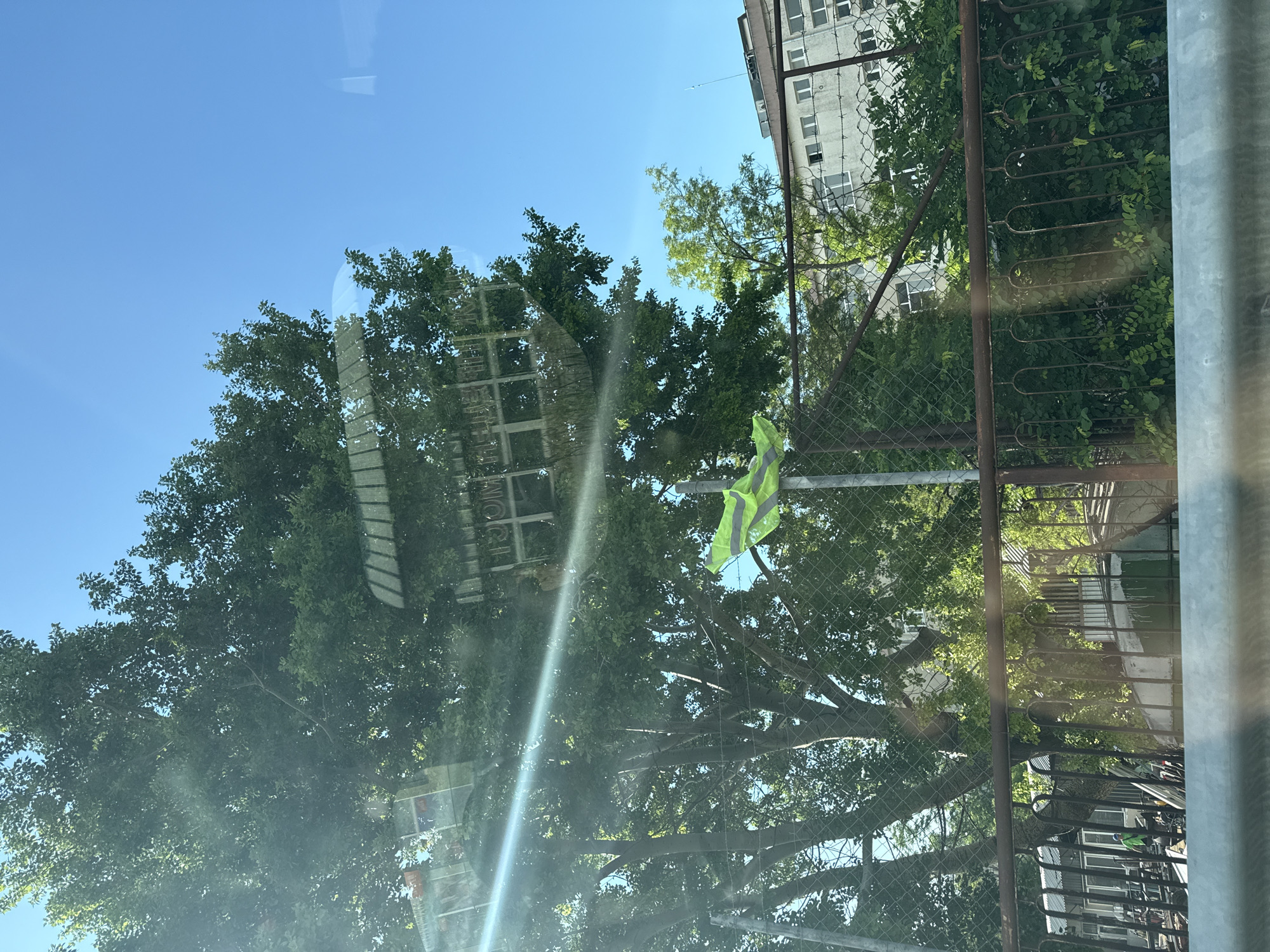 The image depicts a street view in Varna, Bulgaria, on a clear day. A large tree with dense green foliage dominates the left side of the frame, its branches partially obscuring a building and a clear blue sky. A bright yellow-green safety vest is draped over a chain-link fence post in the middle ground. Behind the fence, a light-colored, multi-story building with numerous windows is visible, partially overgrown with green bushes. In the foreground, a rusty metal railing runs horizontally across the image, with more chain-link fencing visible below it. Sunlight creates a strong lens flare across the upper left portion of the image.