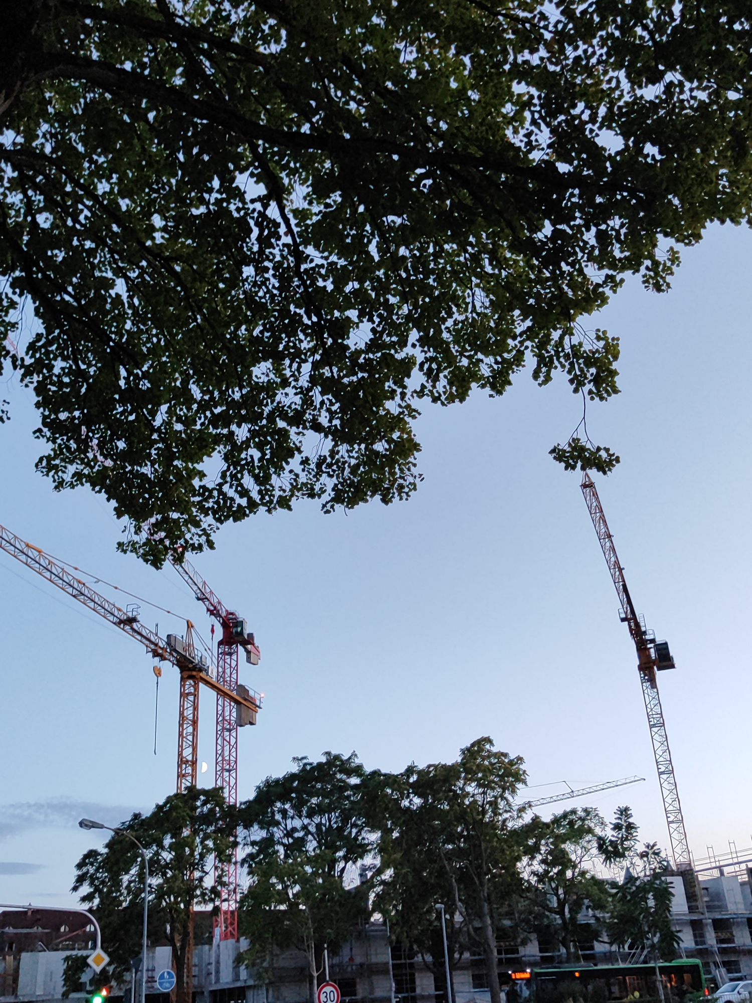 An outdoor, low-angle shot captures a construction scene with two tall cranes dominating the sky. One crane is red and yellow, with its boom extending upwards and slightly to the right. The second crane, predominantly orange, is positioned to the left and lower than the first, also with its boom extended. The background is a clear, pale blue sky, with the upper branches of a large, leafy tree in the foreground obscuring some of the sky. In the middle ground, more trees with dense green foliage are visible, along with the partially constructed building frame. The moon is visible as a crescent shape between the two cranes. To the left, a traffic light with green and yellow lights illuminated is present. There are also traffic signs, including a circular red sign with a white horizontal bar and the number "30" inside, and a diamond-shaped sign with a yellow center and a white border. A green bus is also visible on the right side of the image. The overall scene suggests an active construction site in a city environment during daylight hours. The presence of a "30" speed limit sign suggests this is in a residential or urban area.
