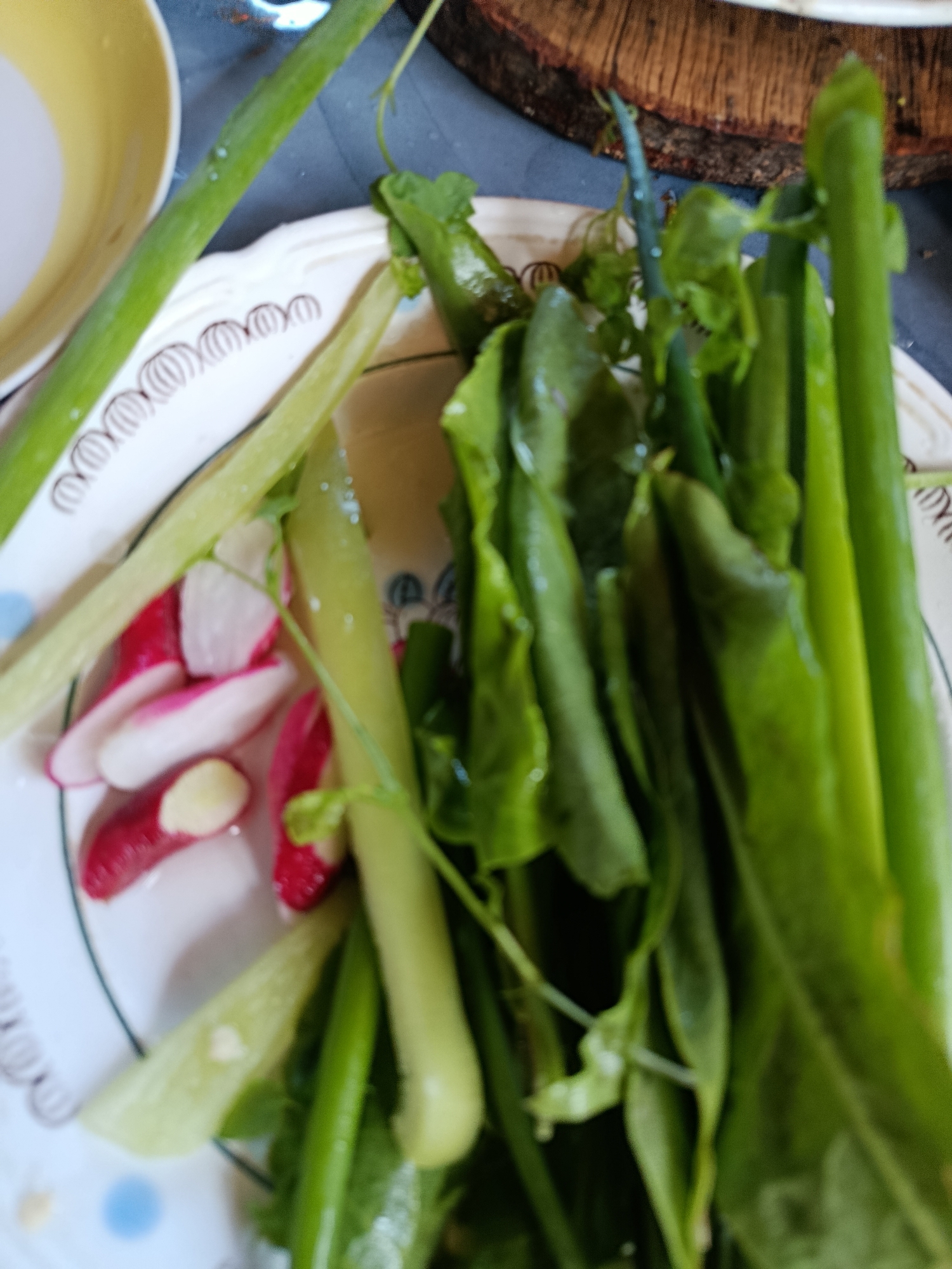 The image displays a close-up, slightly elevated view of fresh vegetables arranged on a white ceramic plate. The plate features a decorative pattern of brown concentric circles along its rim and faint light blue dots on the lower left portion.
The majority of the plate's surface is covered with green vegetables. Prominently featured are several long, slender, bright green stalks, consistent with scallions or spring onions, running diagonally across the plate. Alongside these are clusters of darker green, broad-leafed vegetables, possibly spinach or similar salad greens, some appearing folded or bunched. Delicate, fine green tendrils are also visible among the larger greens, particularly towards the center. Visible moisture droplets are present on the surface of some green vegetables.
On the left side of the plate, several sliced radishes are visible, exhibiting their characteristic vibrant red skin and white interior. Most appear to be halved or quartered. Interspersed with the radishes is a small, irregular, pale yellow/off-white fragment, possibly a piece of garlic or another root vegetable.
In the upper left background, a portion of a yellow-rimmed white bowl or plate is visible. The upper right background shows a segment of a rustic, natural wood surface, likely a cutting board or decorative element, with visible grain and texture. Beneath this wooden object, the surface appears to be a dark blue or grey material, possibly a placemat or tablecloth. The overall lighting suggests an indoor setting with ambient, diffuse light. The image has a relatively shallow depth of field, resulting in some areas being softly focused.
The specific geographical location within the city of Unknown, Unknown, cannot be determined from the visual information provided in this image.