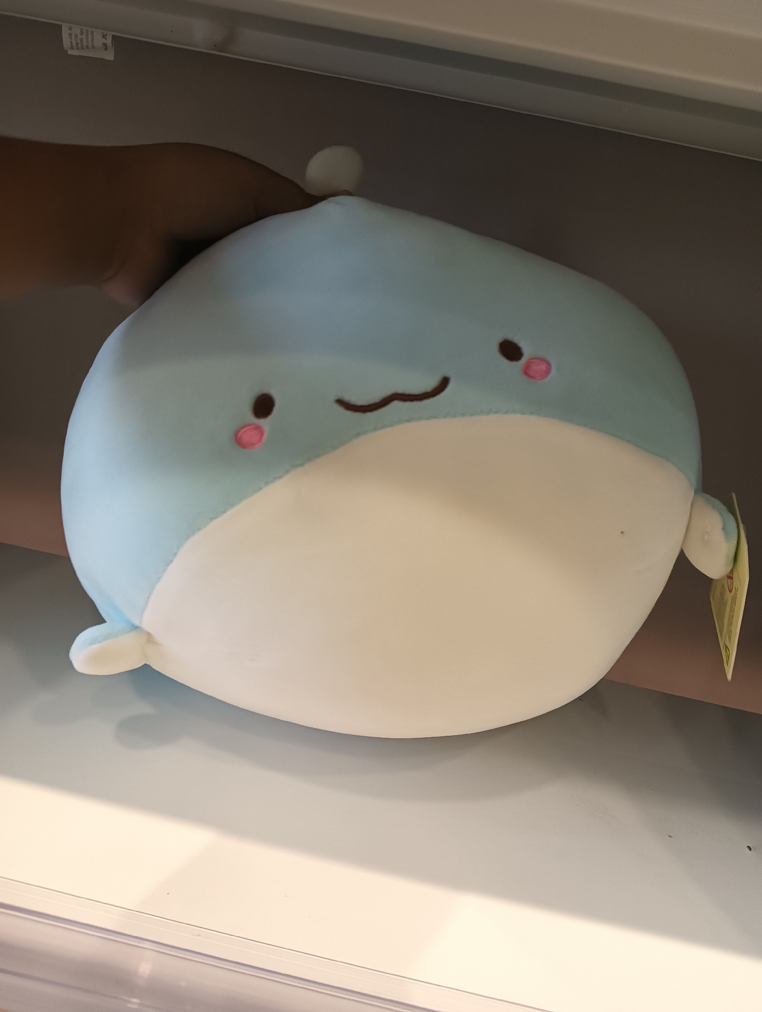 A light blue and white plush toy whale is held by a person's hand. The whale has a smiling mouth, two dark brown eyes, and two pink blush spots on its cheeks. It is resting on a light-colored shelf. A yellow tag is attached to the whale's right side. The background is a neutral gray.