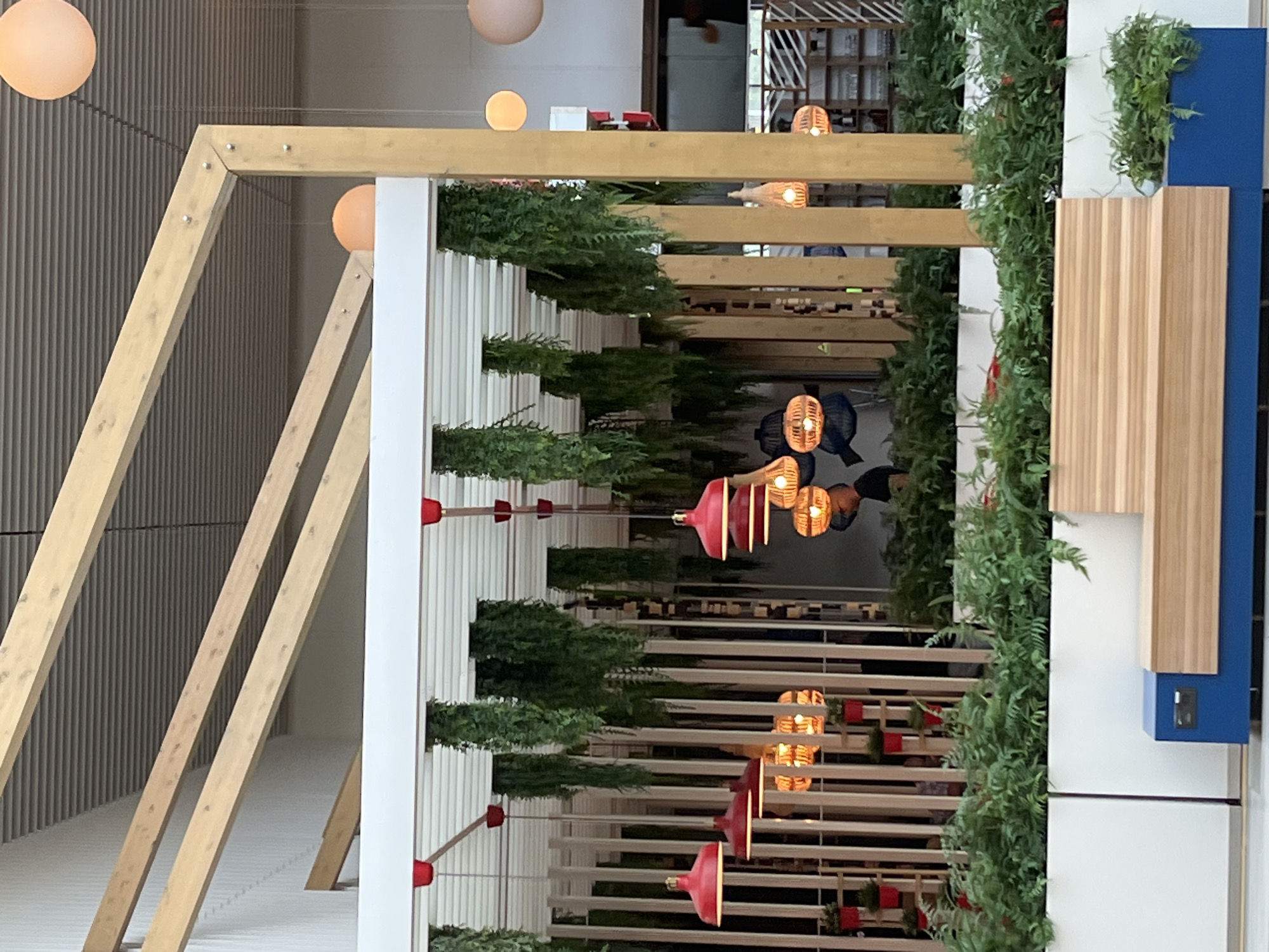 The image shows a section of an indoor space, likely a cafe or public area, with a focus on decorative elements and seating. Large, light-colored wooden beams form an angled ceiling structure overhead. Below this, a white, slatted canopy extends horizontally, from which numerous artificial green plants hang down. Several red pendant lamps with bell-shaped shades are suspended from the canopy, along with other decorative lights featuring woven wicker shades. The background features vertical wooden slats and some shelving units, suggesting a commercial or communal setting. In the foreground, a white planter box filled with green ferns separates the seating area from the main floor. A bench with a wooden slat seat and a blue base is positioned in front of the planter box. The scene is well-lit, with a combination of overhead lighting and the pendant lamps. The image does not depict any specific landmarks or architectural features that would definitively place it in Jõhvi, Estonia.