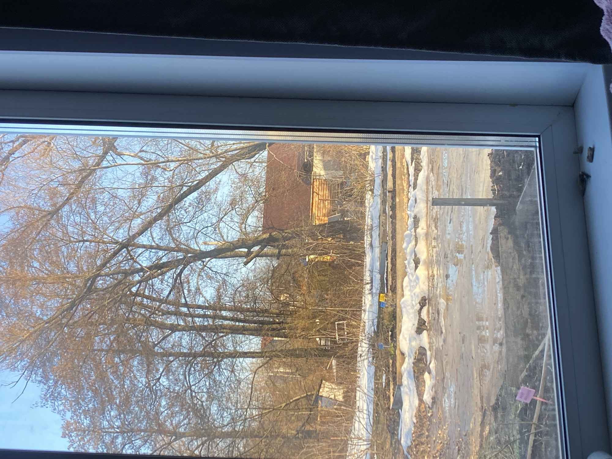 The image depicts a view from a window in what appears to be Chaikovsky, Russia. Bare trees are visible in the foreground with a red brick building visible through the branches. Snow is visible on the ground. A road appears to be adjacent to the snowy area. Small markers are interspersed on the ground near the road. The sky is blue. The photo is taken from inside a building, looking out through a window frame.