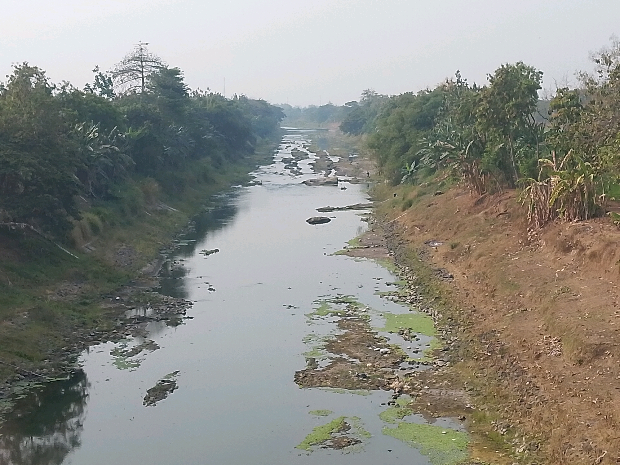 A wide-angle, high-angle shot captures a muddy, slow-moving river cutting through a densely vegetated landscape. The river, appearing somewhat polluted with patches of green algae and scattered debris, is characterized by a rocky, uneven bottom. Lush green foliage, including trees, banana plants, and other vegetation, lines both banks, creating a sense of enclosure. The sky is overcast with a hazy, bright light, suggesting it is either early morning or late afternoon. The overall impression is one of a natural setting that is showing signs of human impact, with the debris in the river being a prominent indicator of this.