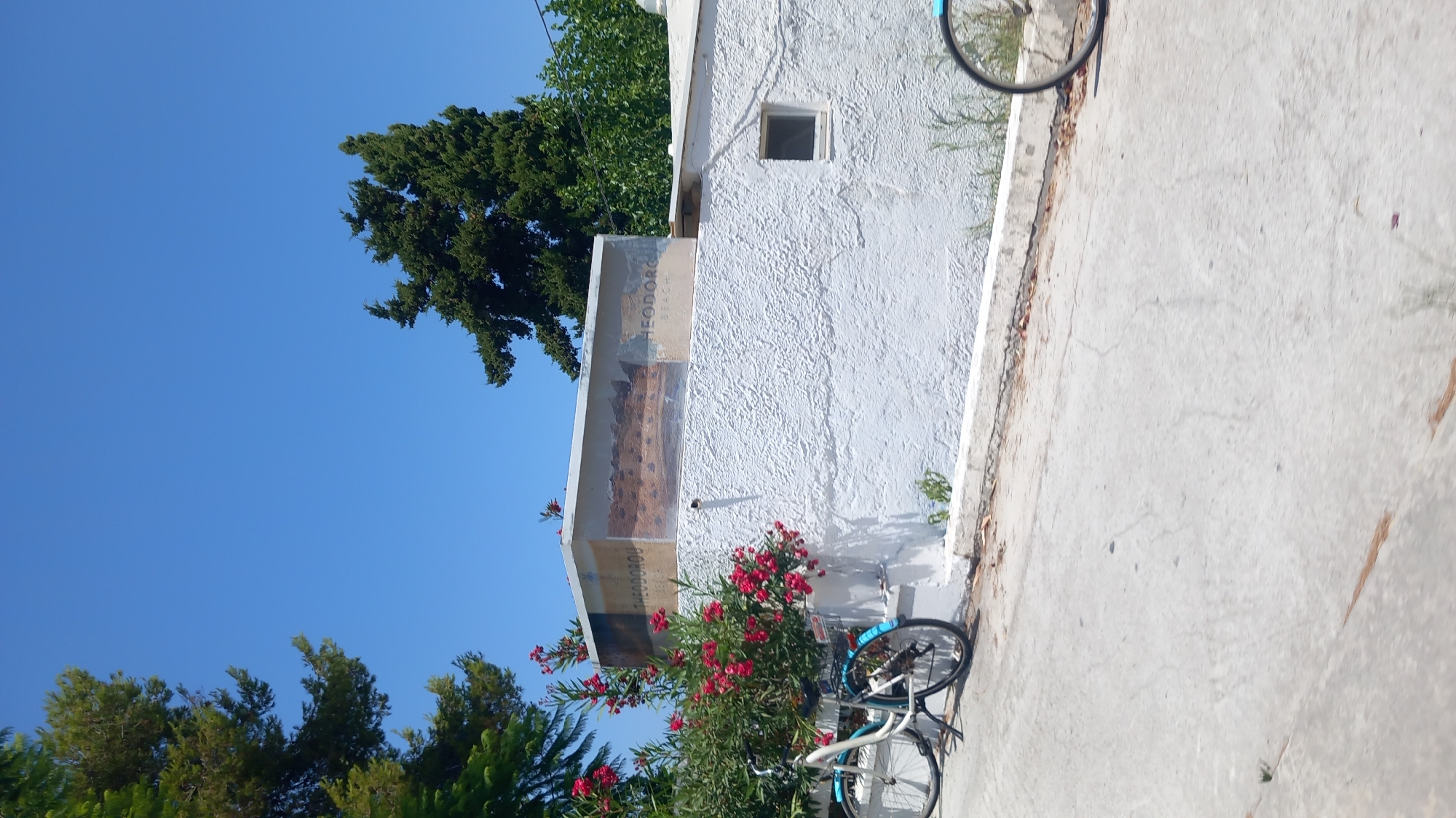 In a coastal setting under a clear blue sky, a white building with a textured facade stands alongside a paved road. A vibrant bush with red flowers is situated in front of the building, with a bicycle parked beside it. The building features a mural or sign with the words "THEODOROU BEACH" visible. Another bicycle's wheel is partially visible on the right side of the image. The environment suggests a sunny day in a tranquil, possibly tourist-oriented, location in Greece.