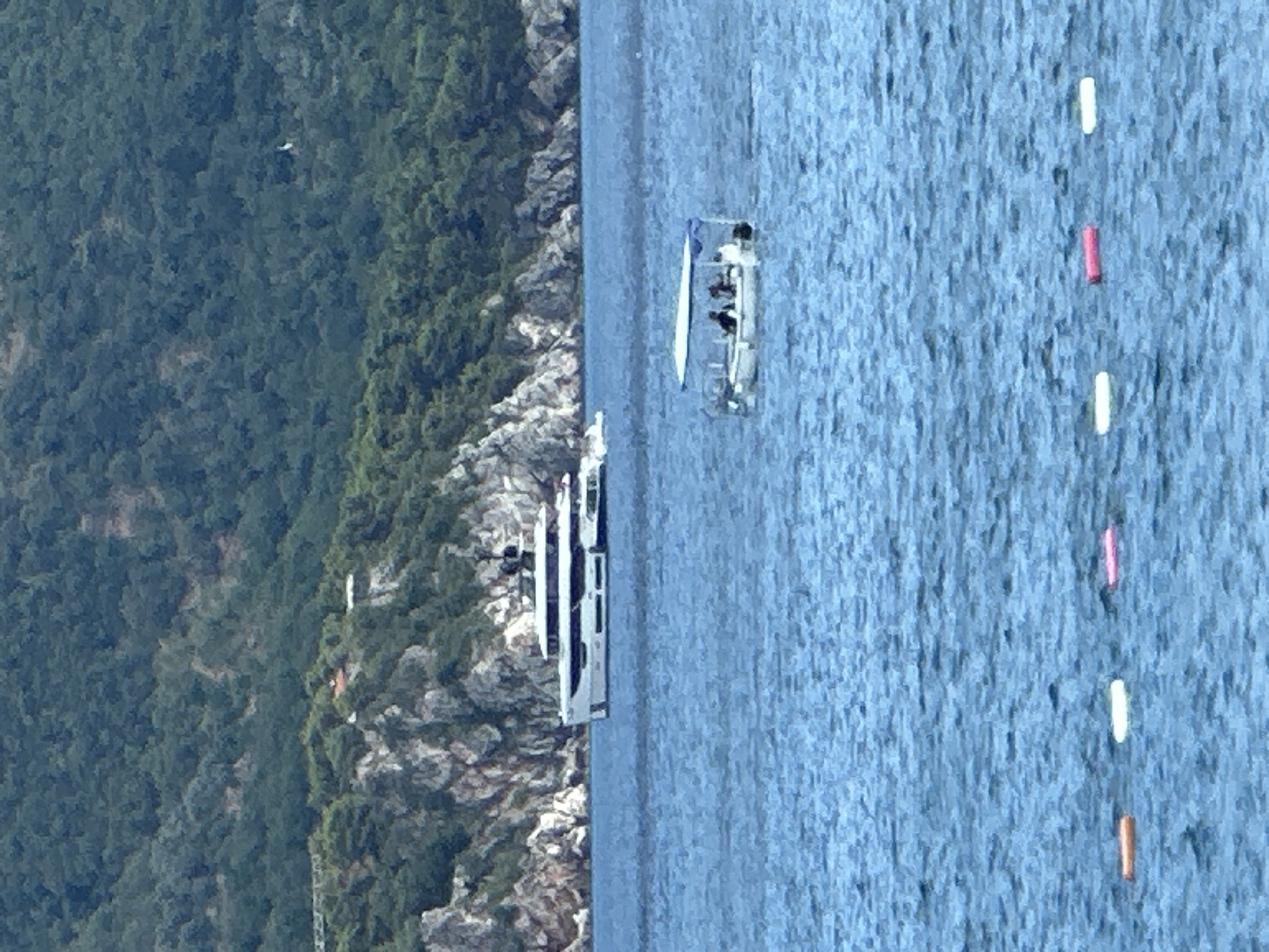 The image shows a coastline with a densely forested hill on the left and a body of water on the right. Several boats are visible on the water. One boat, a white vessel with a canopy, carries several people. Another longer, white boat appears to be docked or anchored closer to the shore. Further out in the water, several buoys are visible, some white and one pink. The water is a deep blue, indicating it is likely a calm day. The shoreline is rocky and steep, with vegetation growing close to the water's edge. The lighting suggests it is daytime, possibly late morning or afternoon. The overall scene depicts a coastal recreational area in Boreti, Montenegro, with activity on the water.