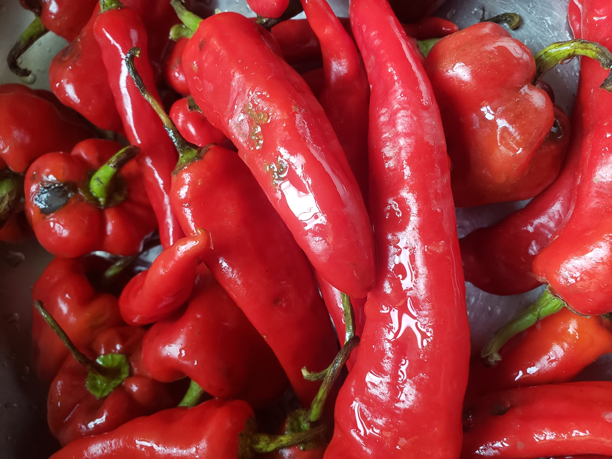 A close-up, overhead shot shows a pile of bright red, wet chili peppers. The peppers vary in shape, with some long and slender, and others more bulbous and round. They are glistening with water droplets. Some of the stems are visible, appearing green and somewhat dried. The background is dark and out of focus. The scene does not depict any identifiable location in the city of Narayi, Nigeria.