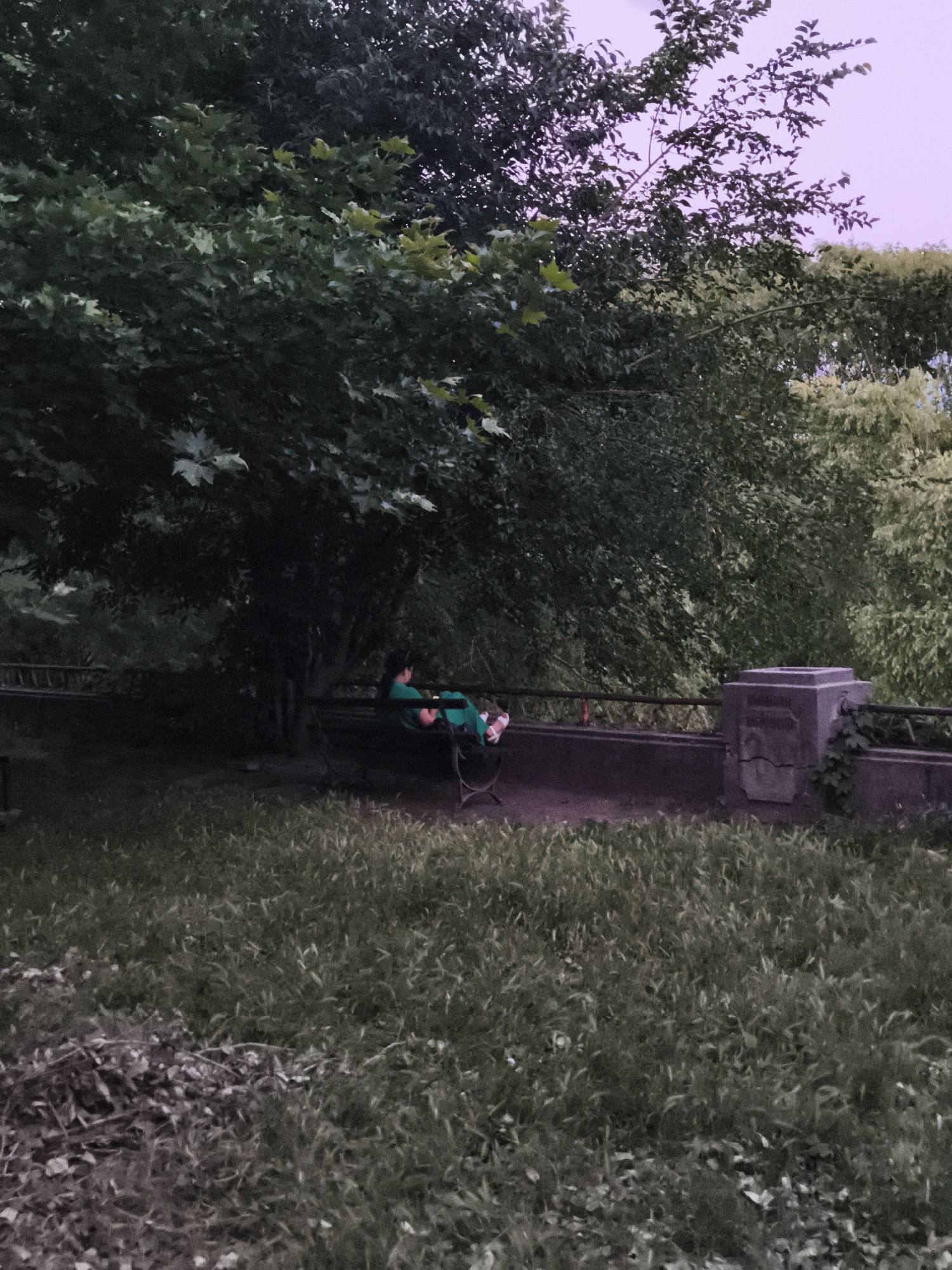 An outdoor scene captures a person sitting on a dark bench under the shade of a large tree. The individual, wearing green clothing, is reclined on the bench with their legs extended and their hands resting on their lap. The bench is situated on a paved area next to a stone wall. To the right of the bench, a concrete structure, possibly a pillar or monument, stands at the edge of the wall, with some greenery growing on it. Behind the wall, a wooden railing stretches into the distance. The ground in front of the bench is covered with green grass and some fallen leaves. The background is filled with dense foliage from the tree and other vegetation, with the sky visible above, tinted a soft purple.