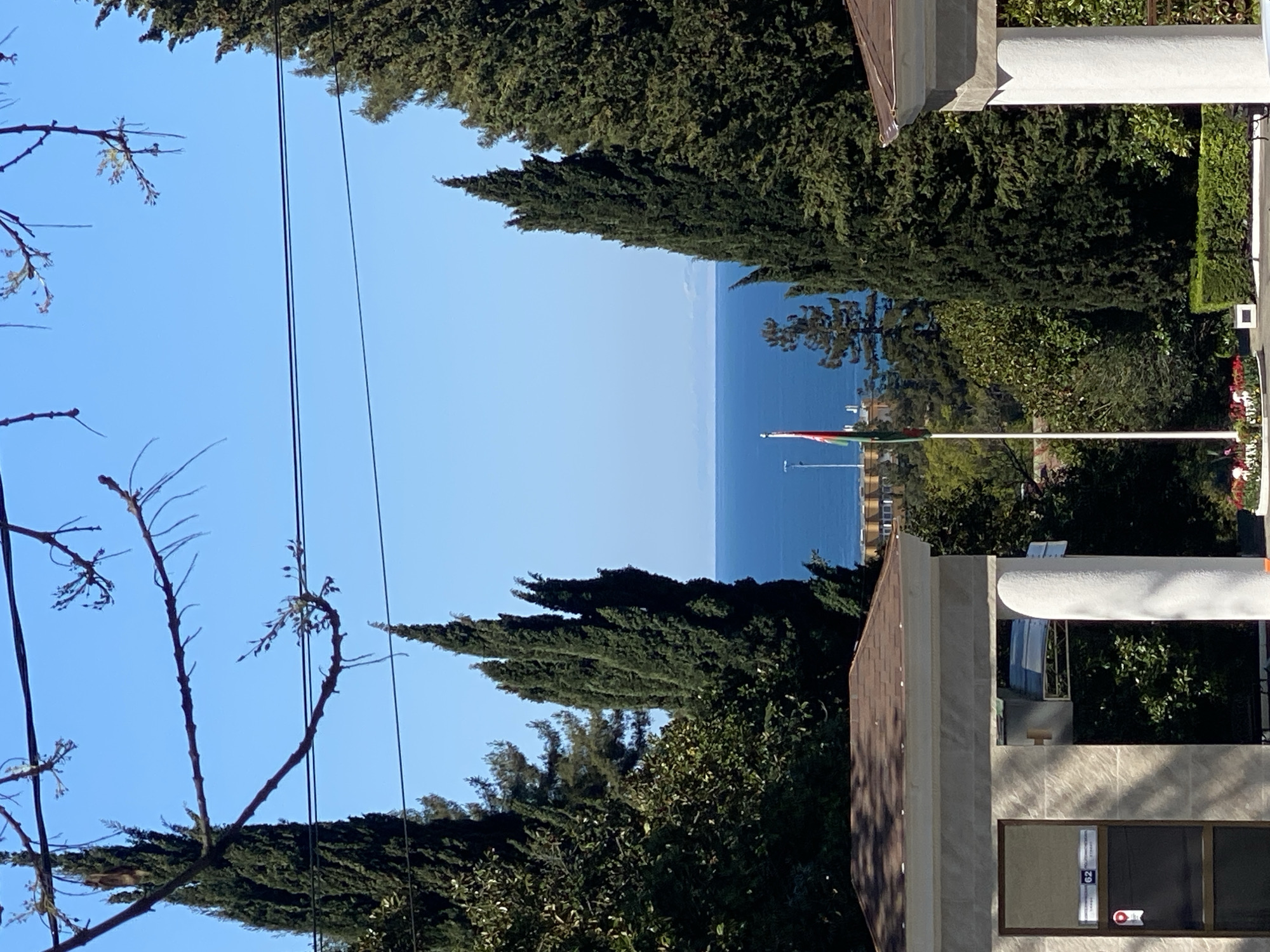 The image captures a view in Sochi, Russia, looking towards the Black Sea. The foreground is framed by dense green trees on both sides. On the left, bare tree branches stretch towards the blue sky. Power lines are visible among the branches and trees. On the right, a building with a brown roof and a white facade is present, partially obscured by trees. A flag on a pole, with red, green, and white bands, is visible over the trees. The sea is calm and blue, blending with the clear sky on the horizon.