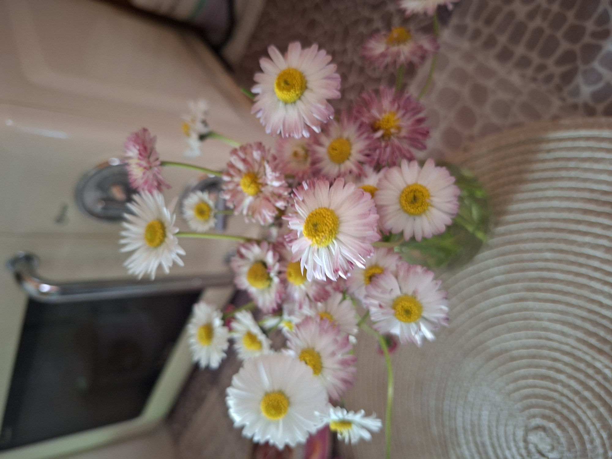 A vibrant bouquet of small, daisy-like flowers with white, pink, and purple-edged petals and bright yellow centers is prominently featured in a clear glass vase. The flowers vary in color, with some appearing almost entirely white and others displaying distinct pink or reddish-purple hues, especially on the outer edges of their petals.
The arrangement is situated indoors, likely on a counter or surface next to a light-colored sink or basin with a chrome faucet visible on the left side of the frame. The interior of the basin appears dark. To the right of the vase, a circular, textured mat with concentric patterns, possibly made from woven material, occupies the lower right portion of the image. The background behind the flowers, particularly in the upper right, shows a light brown surface with an irregular, possibly tiled or textured pattern.
The photograph is taken from a slightly elevated perspective, looking down into the bouquet. The flowers are in sharp focus, while elements in the background and foreground, such as the sink and the textured mat, are gently blurred, indicating a shallow depth of field. The lighting is soft and even, suggesting a bright indoor setting during the day. No specific activities are taking place, and no visible text is present. The overall scene conveys a cheerful and fresh domestic ambiance in Kondratovo, Russia.