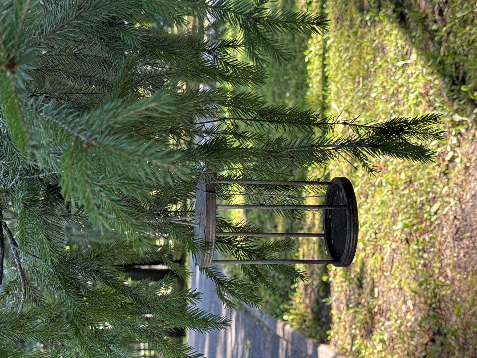 A rustic bird feeder, fashioned from vertical metal rods and a wooden top and base, hangs from the branches of a coniferous tree. The feeder is empty. The tree's green needles are lush and abundant, partially obscuring the background. Sunlight filters through the branches, casting dappled shadows on the ground, which is covered in a mix of dry leaves, grass, and small plants. A paved path is visible to the left of the feeder, suggesting an outdoor, possibly park-like setting. The scene is devoid of people, indicating it was captured in a quiet, natural environment within the city of Ufa, Russia.