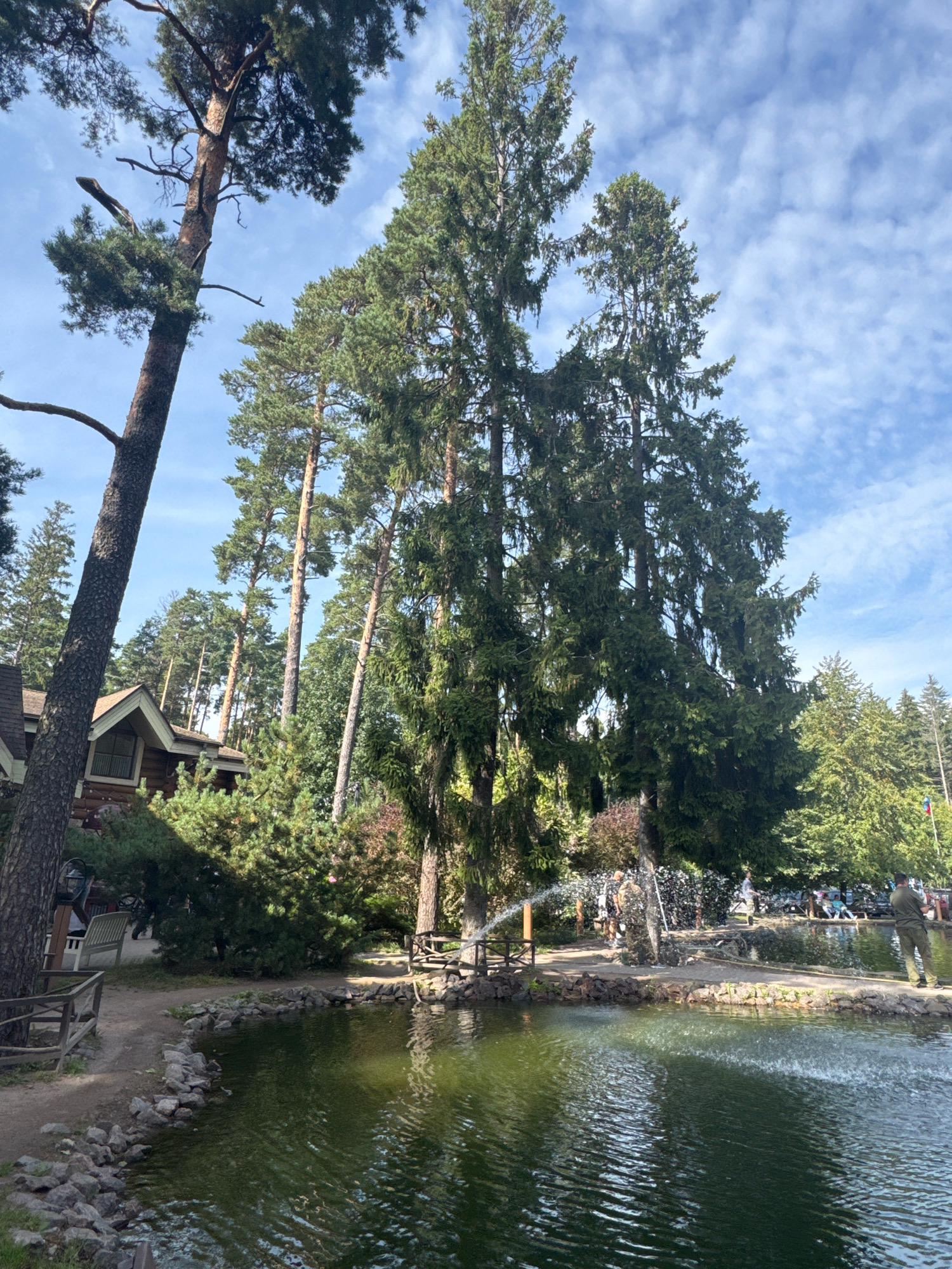The image depicts a scenic view of a park in Komarovo, Russia. In the foreground, a body of water reflects the surrounding greenery and the sky. The water is disturbed by a fountain, creating a spray of water that catches the sunlight. Along the edge of the water, a rocky embankment is visible, with some wooden railings and a path.
Dominating the background are tall evergreen trees, characteristic of the region. To the left, a rustic wooden building, possibly a house or lodge, is partially visible, nestled amongst the trees. The building features a distinctive gable roof and windows. Several people are present in the park, some near the water and others further back, appearing to be enjoying the outdoor environment. One individual, dressed in a military-style uniform, stands near the water's edge. The sky above is blue with scattered white clouds, indicating a pleasant day. The overall scene conveys a sense of tranquility and natural beauty.
