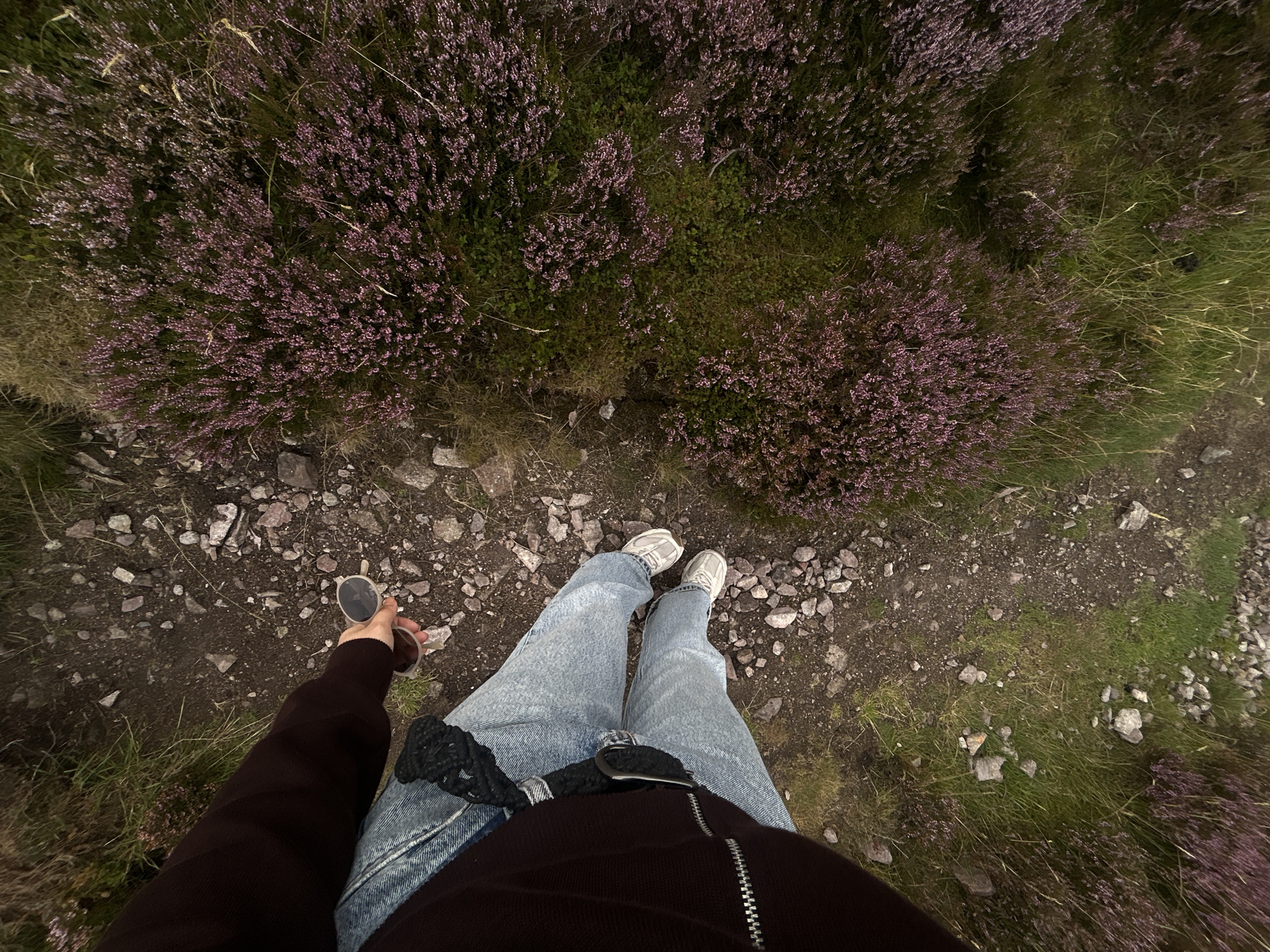 An overhead perspective shot of a person's legs and torso, wearing a dark brown zip-up sweater, light wash denim jeans, and white sneakers. The person is holding a pair of light-colored sunglasses in their right hand. They are standing on a dirt path with scattered rocks and dry grass. To the right of the path, there are patches of vibrant purple heather and green foliage. The scene appears to be in a natural, outdoor environment, potentially a park or hiking trail, and is consistent with the landscape found in areas like Penicuik, United Kingdom.