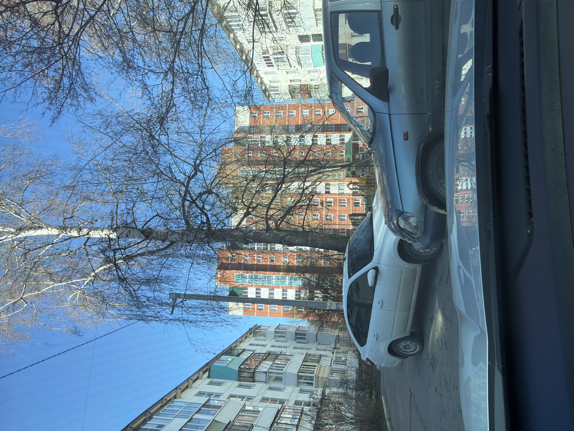 The image shows a street view in Chaikovsky, Russia on a clear day. A white car is parked on the side of a street near apartment buildings with visible windows. A gray SUV is parked behind it. Leafless trees line the street, their branches reaching into the blue sky. Overhead wires run between buildings. The scene appears to be viewed through a car window, with part of the car's interior visible on the right side of the frame.