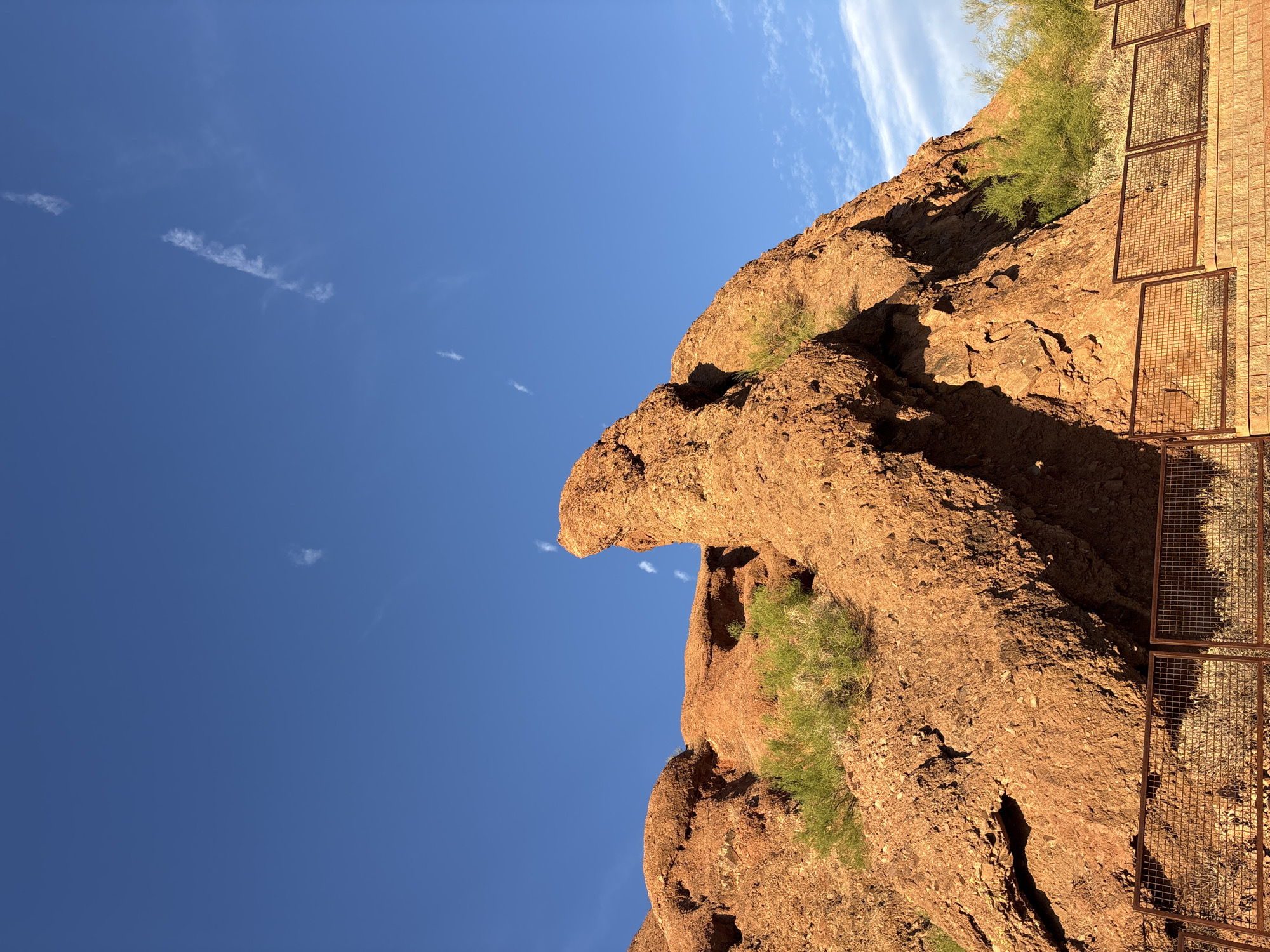 The image depicts a view of red rock formations against a bright blue sky, with some sparse green vegetation growing on the rocks and along the base. A chain-link fence runs along the bottom of the frame, in front of a stone wall. A few wispy clouds are visible in the sky. The scene appears to be located at Papago Park in Phoenix, Arizona. There are no people or animals visible in the image.