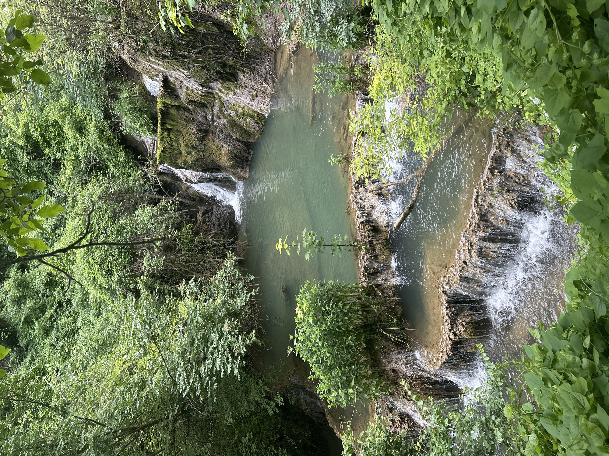 The image depicts the Krushuna Waterfalls in Krushuna, Bulgaria. The scene is a natural, tiered waterfall with several levels and pools of clear, turquoise water. Lush green vegetation, including trees, bushes, and vines, surrounds the waterfalls, creating a serene and verdant environment. The water cascades over moss-covered rocks, forming white foam and splashes. The sunlight filters through the leaves, creating a dappled effect on the water and surrounding foliage. There are no people visible in the image.