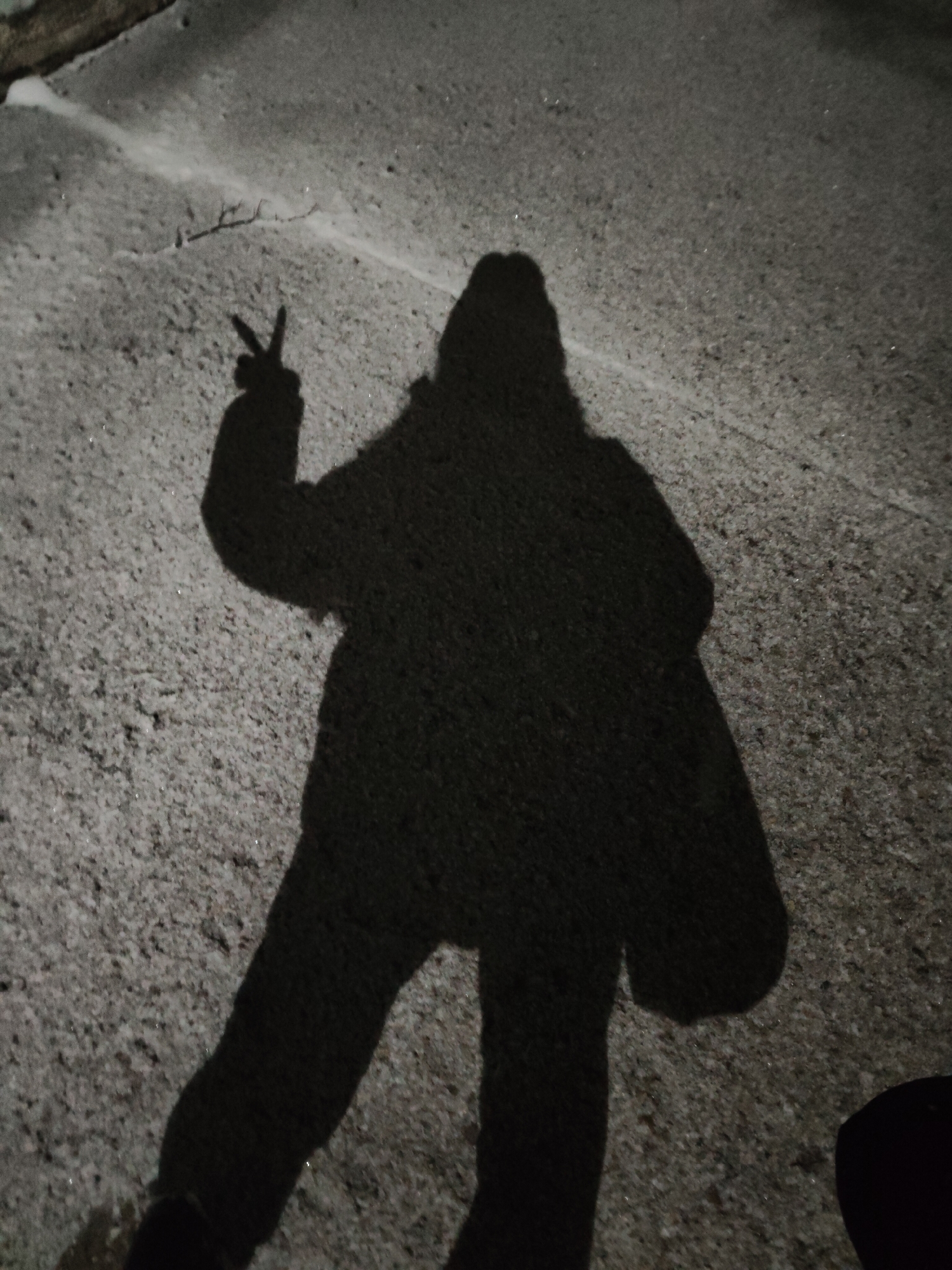 A shadow of a person is cast on a paved surface. The shadow appears to be of an individual wearing a coat or jacket, with one arm raised in a "peace sign" gesture. The setting seems to be outdoors.