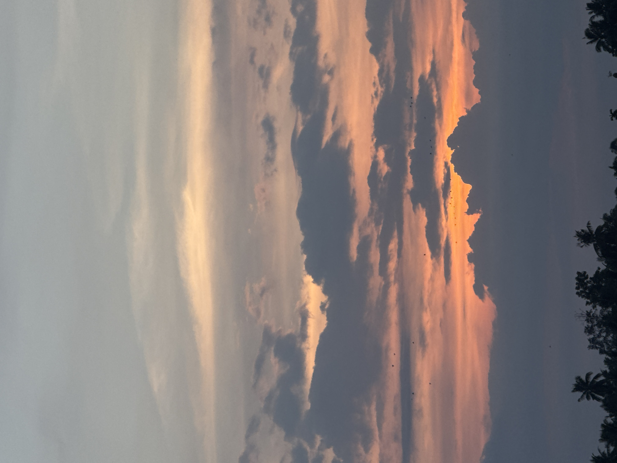 The image captures a sunset over Blangseureukuy, Indonesia. The sky is painted with hues of orange, pink, and grey from the setting sun. Dark, cumulus clouds are scattered across the sky, some illuminated by the sunset's glow. A flock of birds is visible, silhouetted against the colorful sky, flying in various formations. In the foreground, the dark silhouettes of palm trees and other foliage line the horizon, suggesting a tropical environment. The overall scene is serene and atmospheric, characteristic of a tropical sunset.