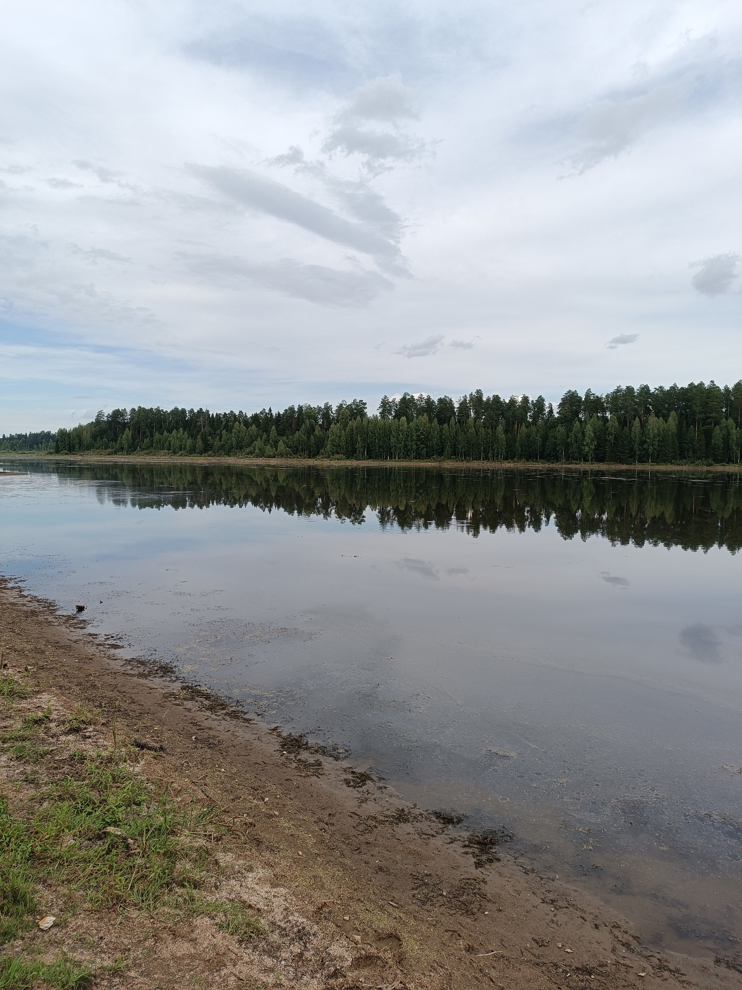 The image depicts a serene natural landscape at the edge of a body of water, likely a lake or river, in Opary, Russia. The foreground features a sandy and muddy shoreline with sparse green grass growing near the water's edge. The water itself is calm, reflecting the sky and the dense forest that lines the opposite bank. The forest is composed of numerous tall, green coniferous trees, creating a dark green band against the horizon. Above the forest, the sky is overcast with a mix of light gray and white clouds, suggesting a cloudy day. The overall impression is one of tranquility and untouched nature. There are no people or animals visible in the frame.