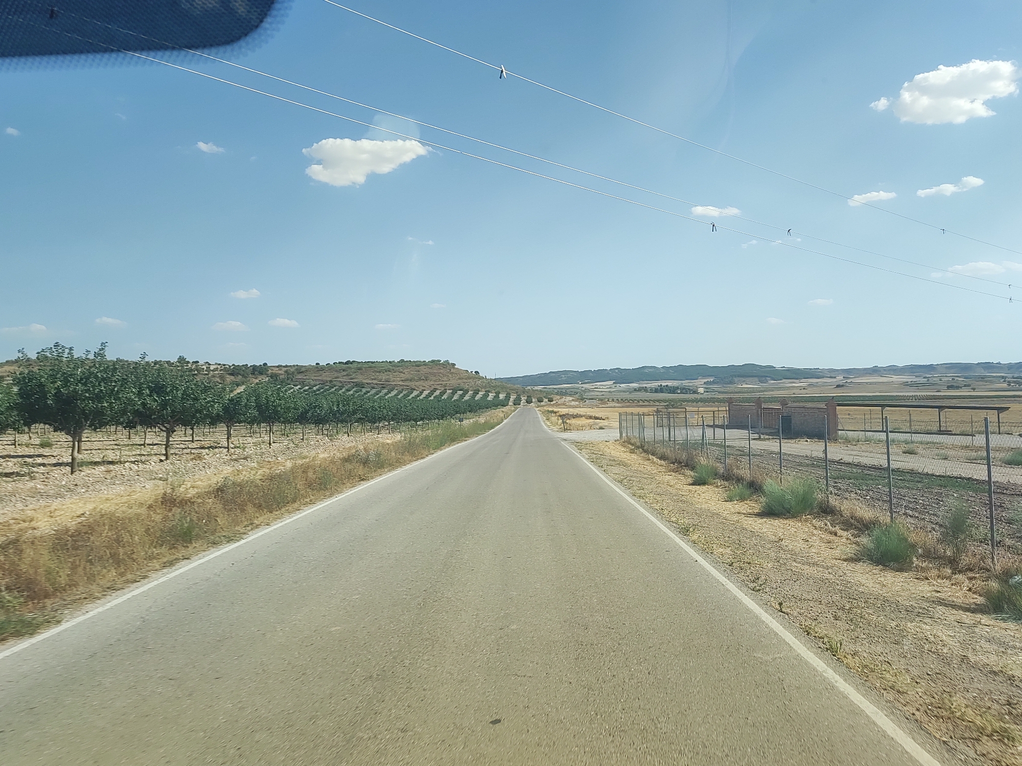 The image depicts a straight, paved road leading into the distance under a clear blue sky with scattered white clouds. The road is flanked by dry, grassy fields and rows of trees, suggesting a rural or agricultural setting. On the left side of the road, there are neatly planted rows of trees, possibly an orchard or vineyard. On the right side, a fenced area encloses some structures and dry vegetation. Power lines are visible in the sky. The scene appears to be a view from a vehicle traveling on the road. The location is identified as the city of Illana, Spain.