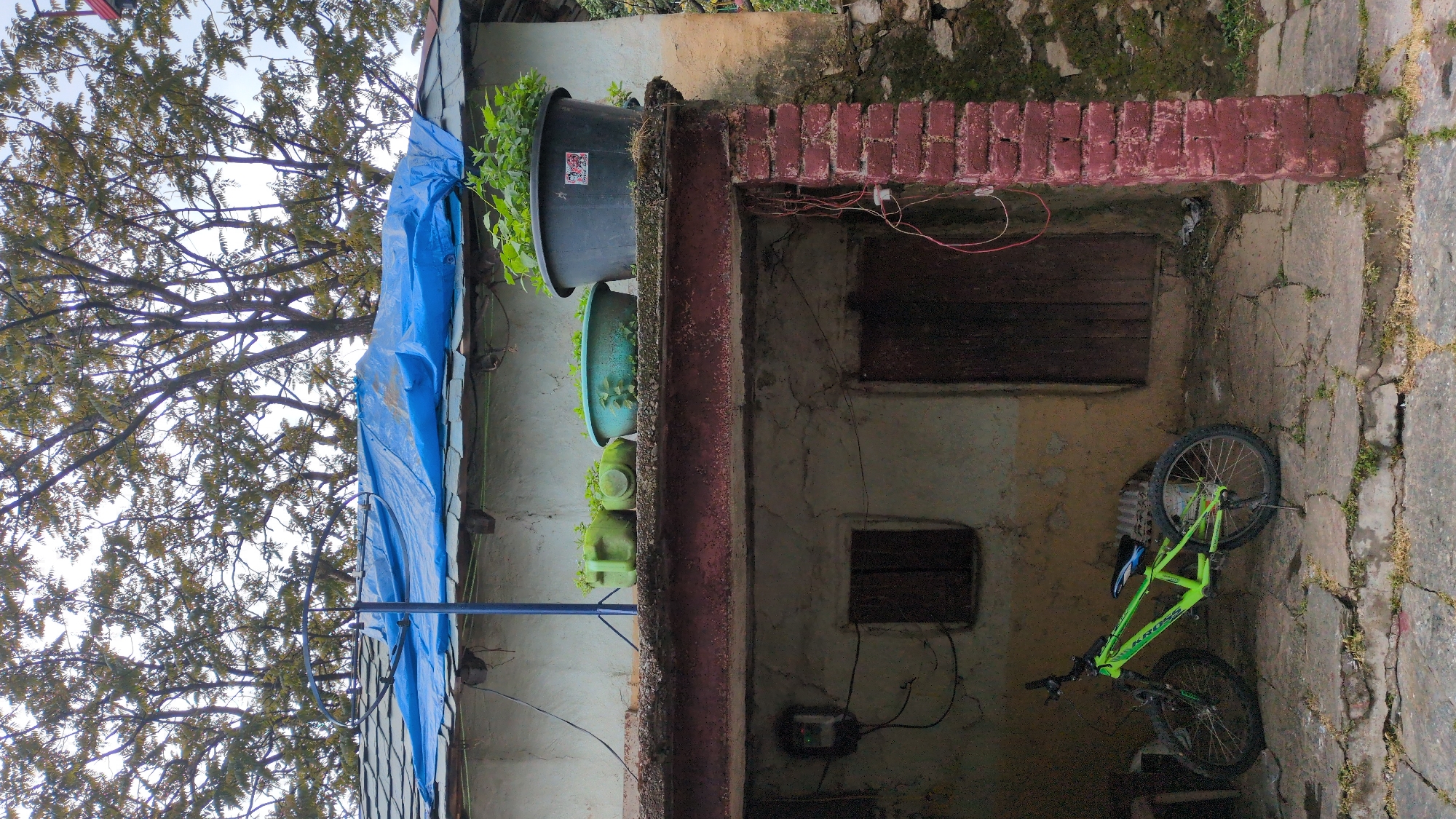 An exterior shot, oriented vertically, captures a slice of a weathered building in Haini, India. On the right, a brick and concrete structure exhibits signs of age and disrepair. A closed wooden door sits above a smaller boarded window. A green bicycle leans against the wall on a concrete surface that is cracked and overgrown with vegetation. Two plant pots, one black and one turquoise, are perched on top of the structure. A green tank is present on the wall. To the left, a building is covered with a blue tarp. Above the tarp is a tree.