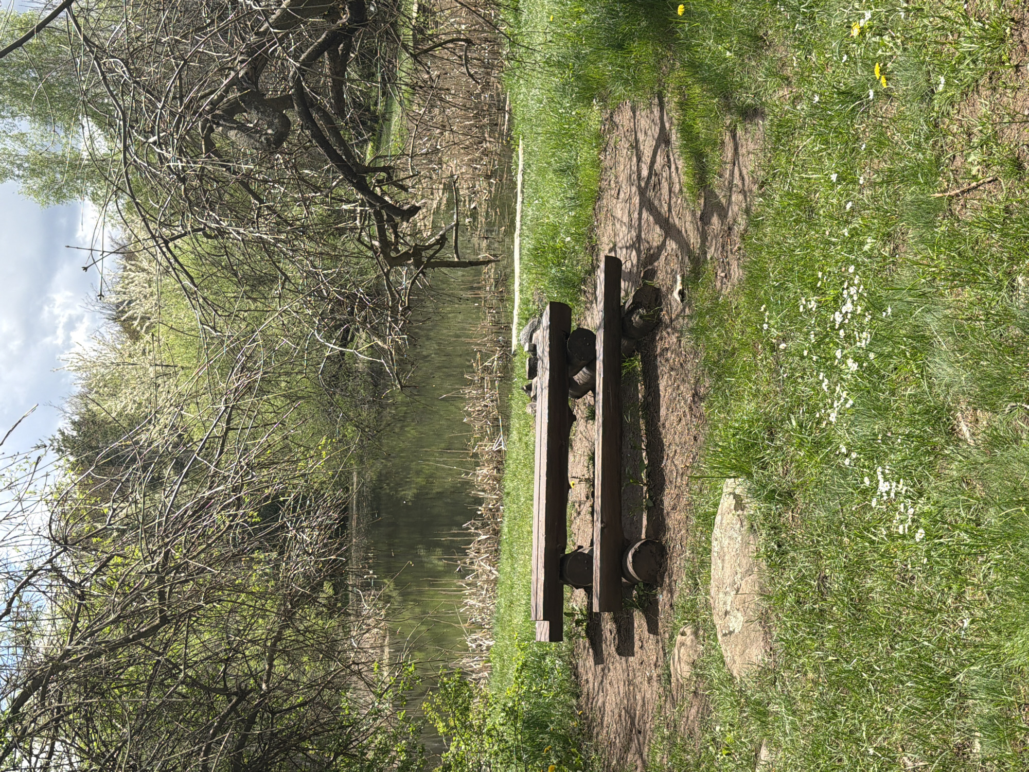 The image shows a park setting, possibly in a city of Unknown, Unknown. A wooden bench with rounded supports sits on a dirt path beside a pond or lake. The path is bordered by green grass, and trees with bare branches are visible along the water's edge. The weather appears sunny, casting shadows from the bench.