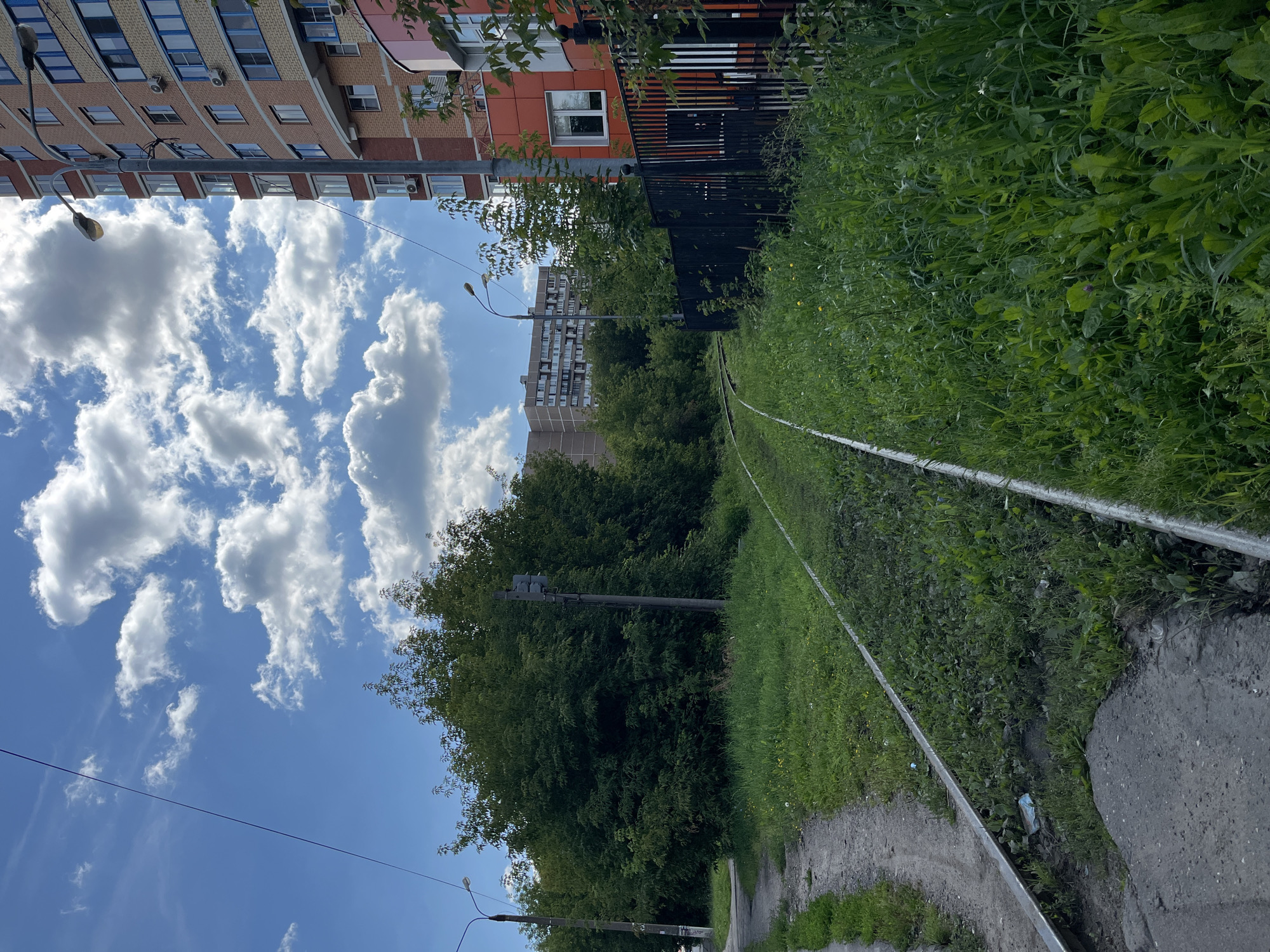 The image depicts a residential area in Balashikha, Russia, featuring a tram track winding through overgrown grass. On the right, a modern brick apartment building stands tall, its windows reflecting the sky. Adjacent to it is a building with an orange facade, separated by a black metal fence. In the background, more apartment buildings and lush green trees are visible under a bright blue sky dotted with white, fluffy clouds. A lamppost stands near the tram tracks, and another is visible on the left side of the image near a sidewalk. The scene appears to be captured on a clear, sunny day.
