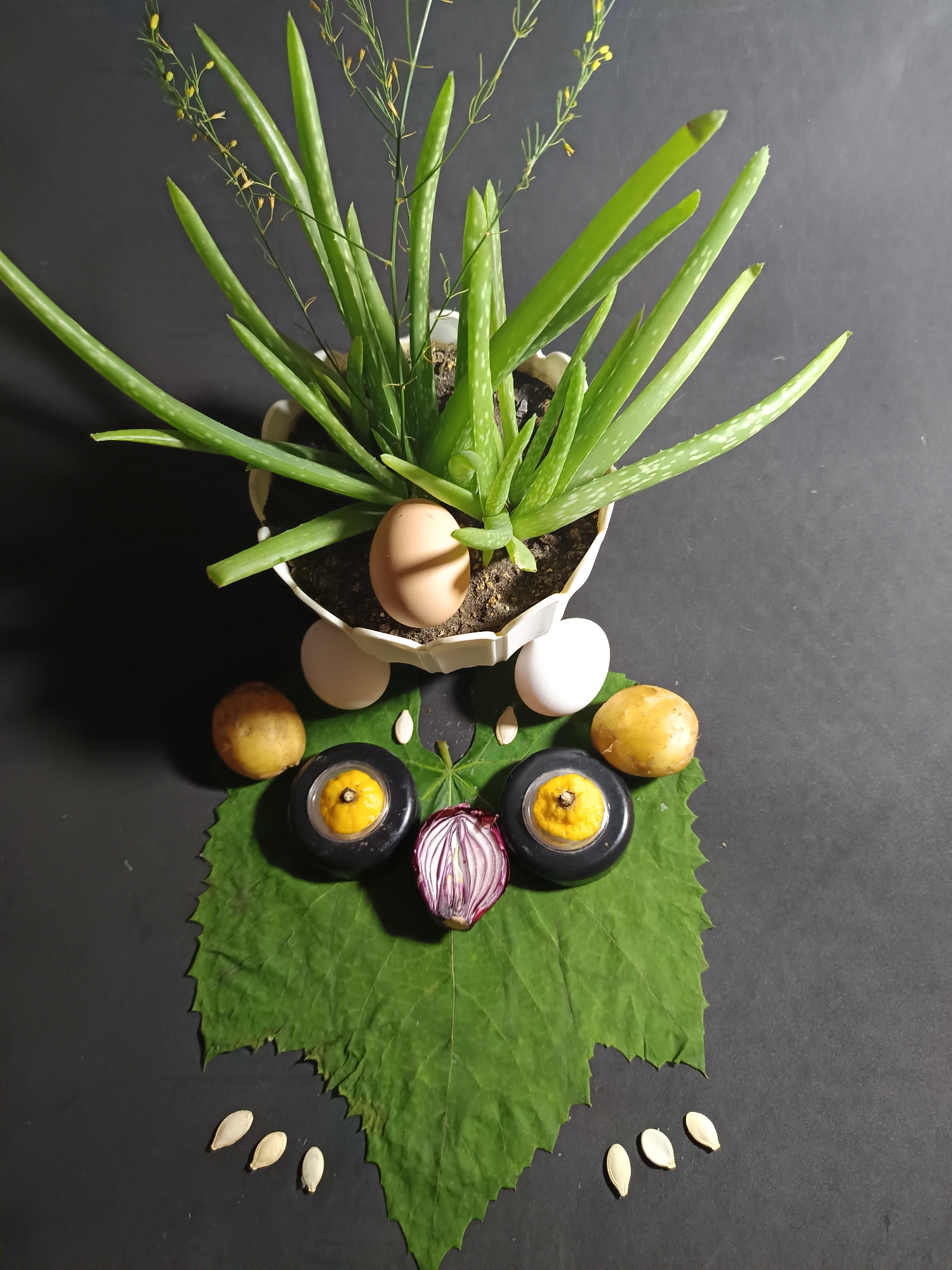 In Tyshky, Ukraine, on a dark, flat surface, an aloe vera plant in a white pot is positioned at the top of the frame. Several eggs, both whole and cracked, are placed around the base of the plant. Below the plant, arranged to form a face-like structure, are two small, round potatoes serving as ears, and two black, circular objects with yellow centers, possibly representing eyes. A halved red onion sits between the "eyes," and a large green leaf forms the "mouth." Three pumpkin seeds are scattered below the leaf. The lighting creates shadows on the dark surface, highlighting the textures of the objects.