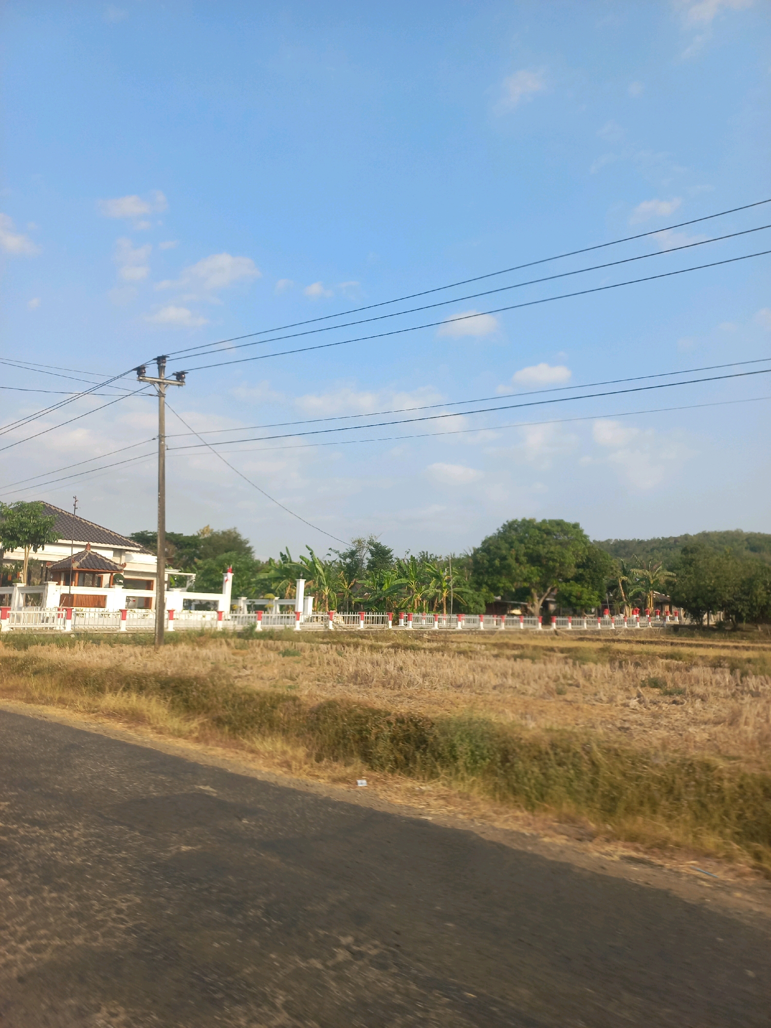 The image depicts a scene in Setrorejo, Indonesia, on a clear day with a bright blue sky and scattered white clouds. In the foreground, a paved road runs diagonally across the frame from the lower left to the upper right. Adjacent to the road is a field of dry, harvested crops, appearing golden brown.
Further back, a white fence with red accents encloses a property. Behind the fence, a building with a white exterior and a dark-tiled roof is visible, featuring architectural elements that suggest a modern design with some traditional influences. The building has a veranda or an open-air structure with wooden supports and a tiled roof. Green trees, including banana trees and other lush vegetation, surround the building and the property.
A wooden utility pole with electrical wires running across the sky stands prominently in the middle ground, slightly to the left of the frame's center. The landscape beyond the property appears to be hilly and covered in dense green trees, with a glimpse of a larger hill or mountain in the far background. The overall impression is of a rural or semi-rural residential area.