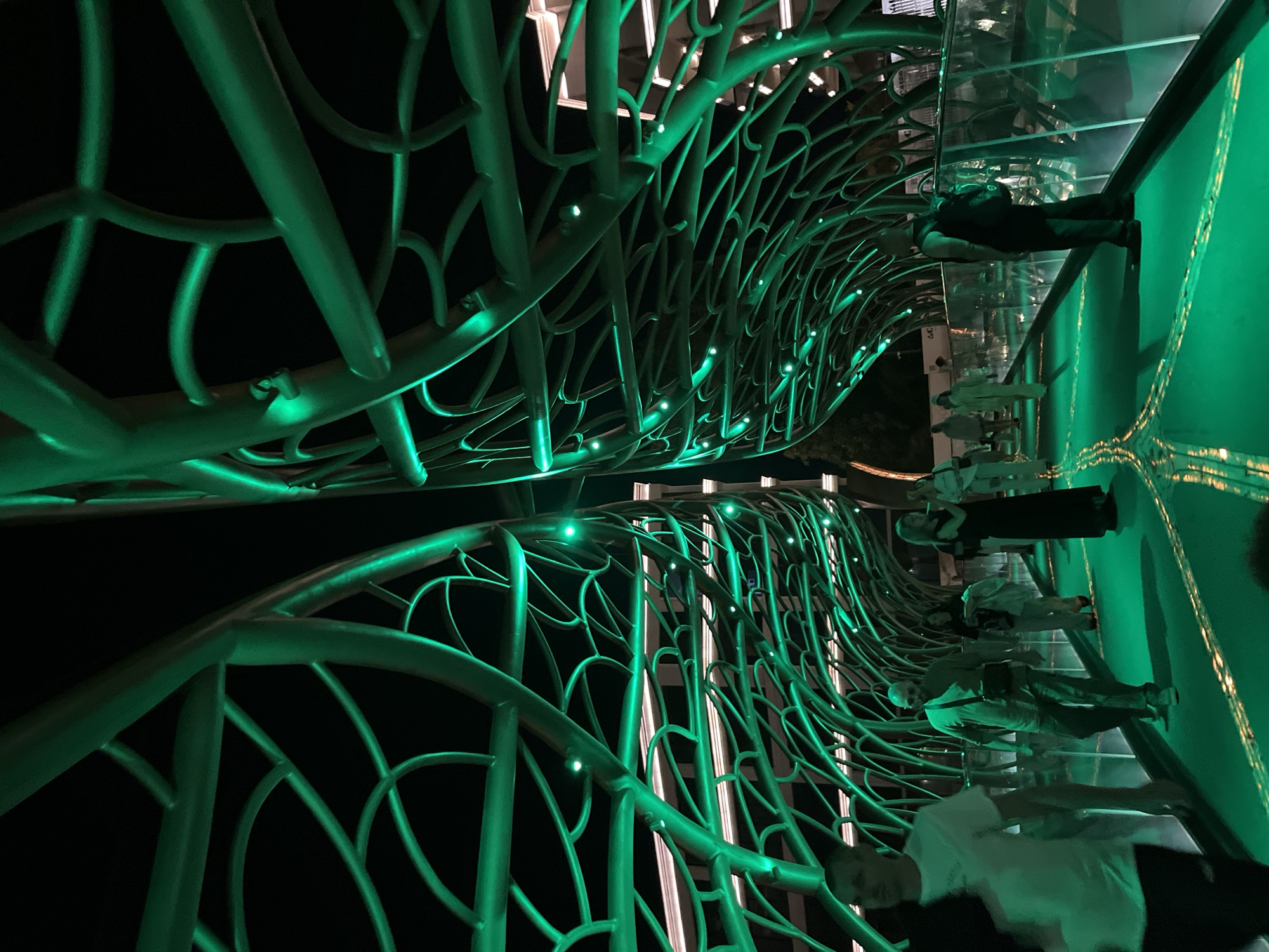 The image captures a nighttime scene on an illuminated bridge in Sochi, Russia, likely part of the Olympic Park area, given its modern architectural style and vibrant lighting. The bridge features an intricate, organic design with a canopy of green, glowing structural elements that resemble branches or veins, casting a strong emerald light. People are walking on the bridge, some are in focus, while others are blurred due to motion or distance. The bridge floor is also illuminated with a green glow, reflecting the overhead lights. The environment is dark, with the bridge's illumination being the primary light source, highlighting the architectural features and the people present. The overall impression is one of a futuristic and aesthetically striking urban landscape.