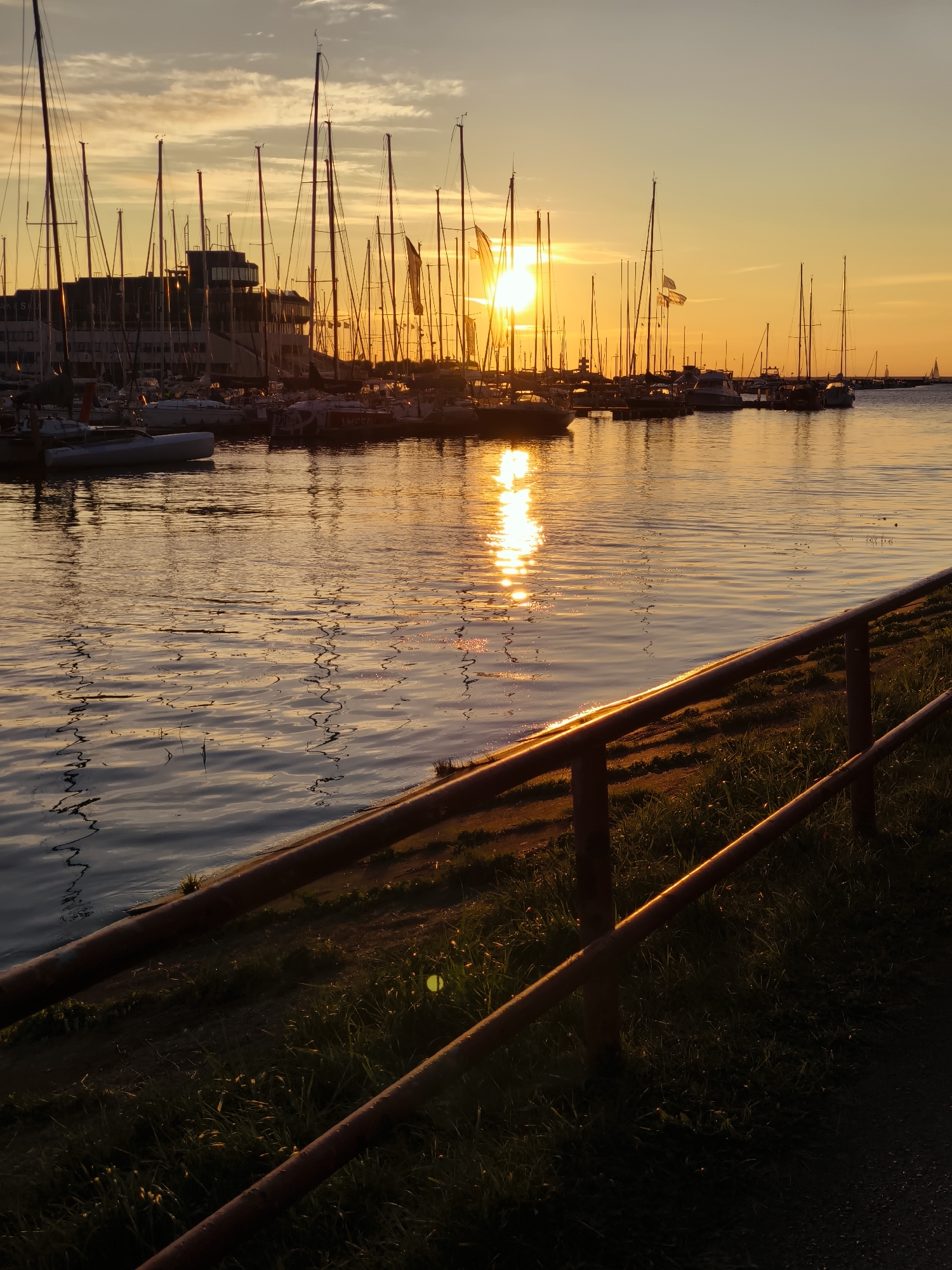 This is a photograph taken at sunset in the Tallinn, Estonia harbor. The image shows a marina filled with sailboats, their masts silhouetted against a golden sky. The sun is low on the horizon, casting a warm glow over the scene and reflecting on the rippling water. In the background, a modern building with a rounded facade stands among the masts. A rusty railing runs along the foreground, separating the grassy embankment from the water. The overall atmosphere is tranquil and serene, with the setting sun creating a picturesque view of the harbor. There are no people visible in the image.