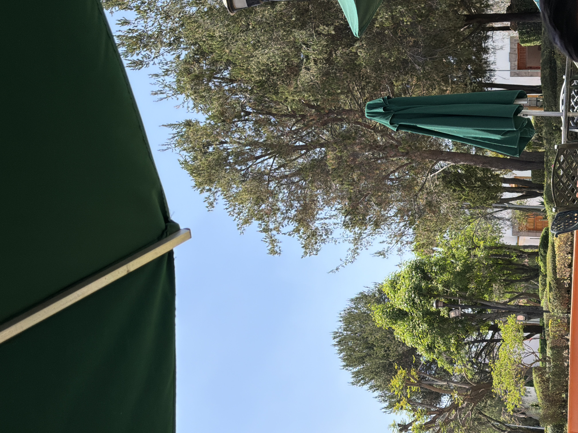 The scene depicts an outdoor park or plaza environment in San Andrés Cholula, Mexico. The perspective is from beneath a large, open, dark green patio umbrella, with its fabric and a light-colored structural rib occupying the upper portion of the frame. Above, a clear, bright blue sky is visible. The mid-ground is characterized by dense green trees and manicured hedges. A closed, dark green patio umbrella stands upright towards the right side of the frame. To its left, a black streetlamp-style pole equipped with square light fixtures rises from the ground. In the immediate foreground, an orange-colored low wall or planter box is present. Portions of dark-colored outdoor table and chair elements are visible in the lower right corner. In the background, partially obscured by foliage, are sections of white-walled building structures with reddish architectural details. No individuals are explicitly depicted, and no specific actions or interactions are occurring.