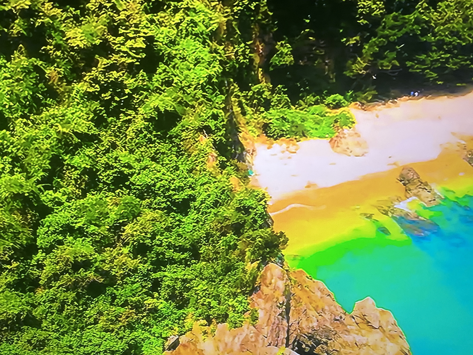 An aerial view shows a dense, verdant forest cascading down a steep cliff face towards a sandy beach. The beach is a pale yellow, meeting the vibrant turquoise water of the ocean. The transition between the land and sea is marked by a band of foamy white surf. The scene is illuminated by bright sunlight, casting shadows within the foliage and highlighting the texture of the rocks. In the distance, along the edge of the beach, two figures are visible, appearing as small dark shapes against the sand.