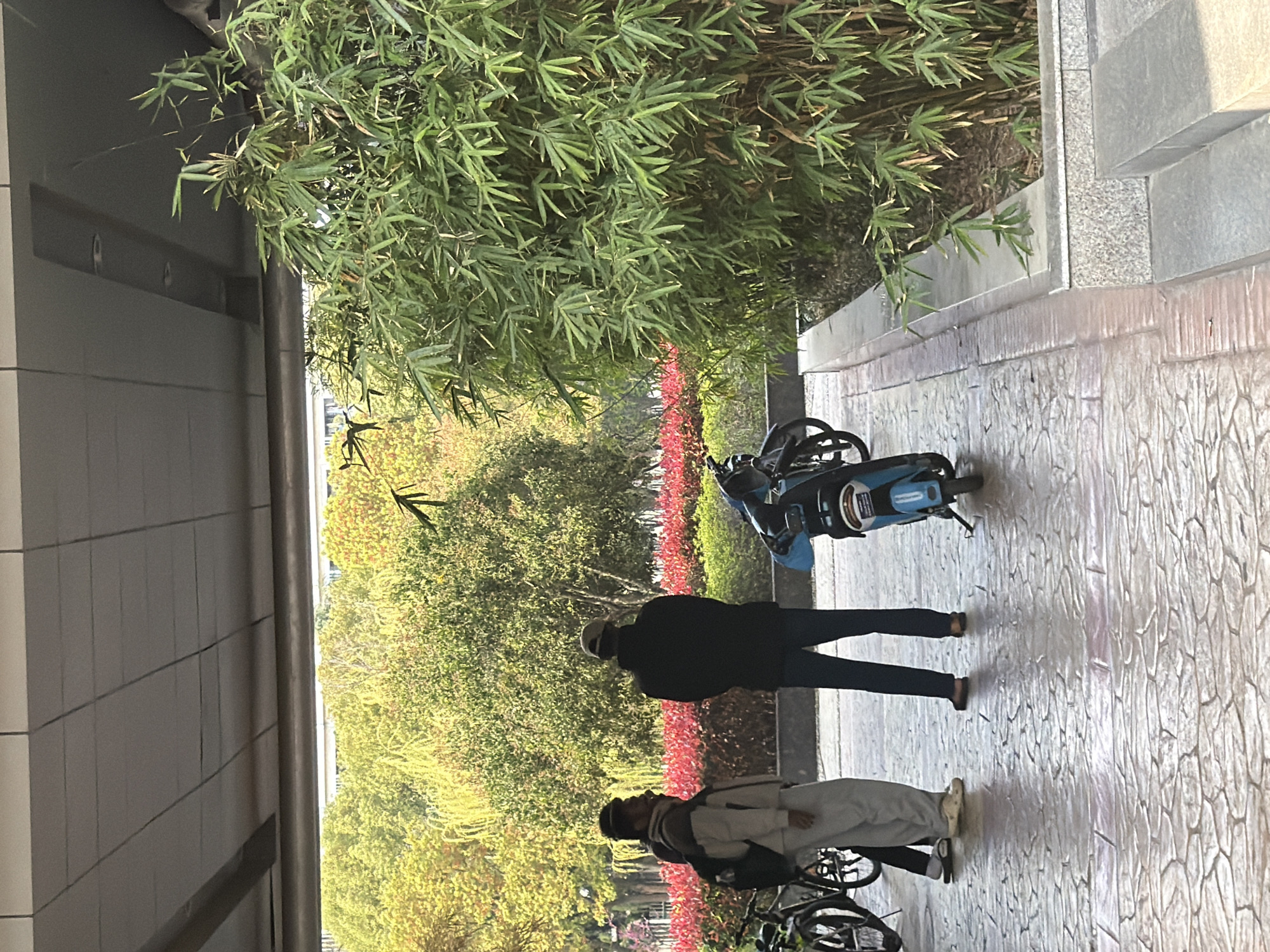 The image depicts a scene in Jiangning District, China, showing a sidewalk with a patterned surface. A row of red flowers separates the sidewalk from a park-like area with trees and greenery. Two individuals are present: one in a black jacket and dark pants is walking away from the camera. The second person, wearing a light-colored jacket and pants, is standing next to a bicycle. A light blue shared e-bike is parked at the top of the image. Bamboo trees are growing on the side with a building.
