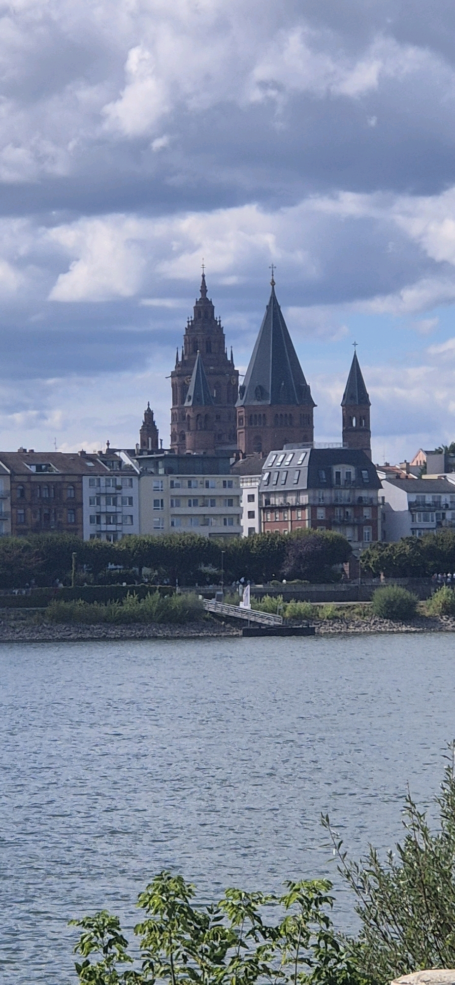 The image depicts a panoramic view of the Rhine River with a city skyline in the background. The skyline is dominated by a large, reddish-brown cathedral with multiple spires and a tall central tower, characteristic of Gothic architecture. Flanking the cathedral are other architectural structures, including a conical-roofed tower to the right and a smaller, distant spire. In front of the cathedral, a row of buildings with diverse architectural styles, ranging from traditional to modern, line the riverfront. These buildings feature windows, balconies, and varying rooflines. A lush green embankment separates the river from the buildings, with trees and vegetation lining the shore. A narrow wooden walkway or pier extends into the river from the embankment, with a white statue or monument at its base. The river itself is a deep blue, with subtle ripples indicating a gentle current. The sky above is a mix of blue sky and dramatic grey clouds, suggesting a partially overcast day. The foreground of the image features the tops of green bushes and trees, framing the view of the river and city. This scene is identifiable as the Mainz Cathedral (Mainzer Dom) and the adjacent riverfront in Mainz, Germany, located across the Rhine from Wiesbaden.