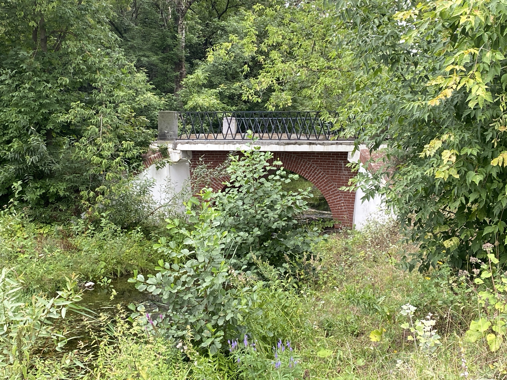 A brick bridge with a black metal railing arches over a small body of water. The bridge is surrounded by lush green foliage, with trees and various plants creating a dense canopy. The water is partially obscured by vegetation, but a white duck is visible swimming in it. The scene appears to be a tranquil natural setting within a city, though the specific location is unknown.