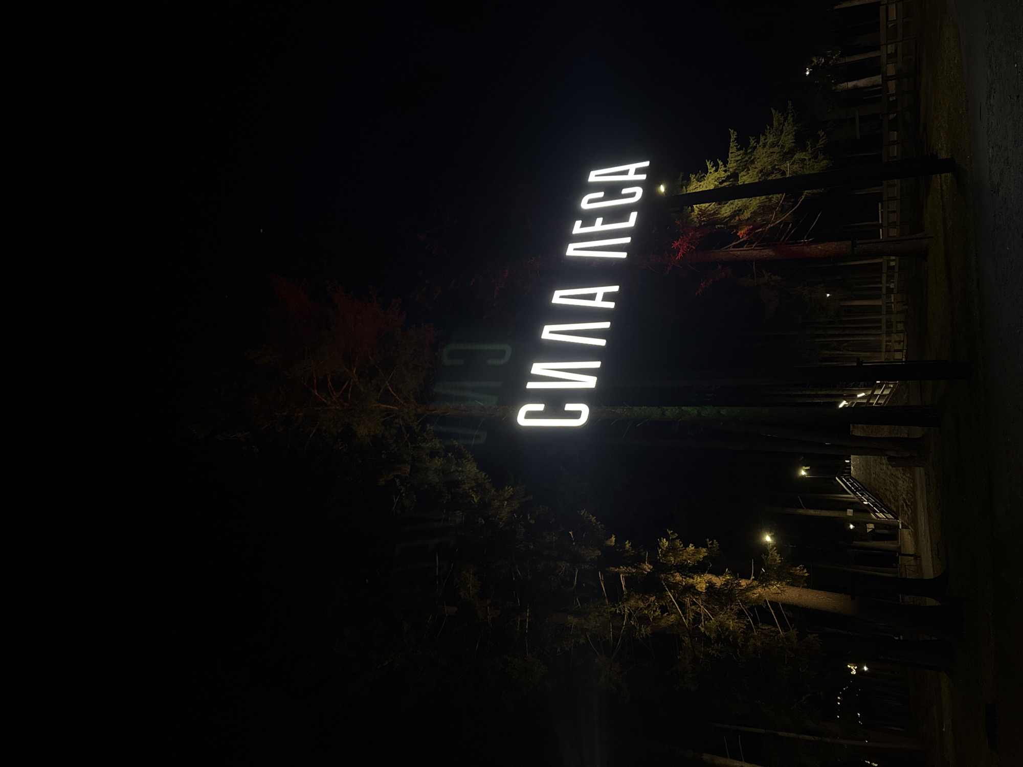 The image shows a nighttime scene in Votkinsk, Russia, featuring a luminous sign that reads "СИЛА ЛЕСА" (Sila Lesa) vertically, which translates to "The Power of the Forest." The sign is positioned among trees in a park or forested area. Some trees are illuminated with colored lights, potentially red, creating an atmospheric contrast against the dark surroundings. In the background, there are hints of a walking path or stairs, along with more lights suggesting a park or recreational area. The scene is otherwise dark, with the sign serving as the primary source of illumination.