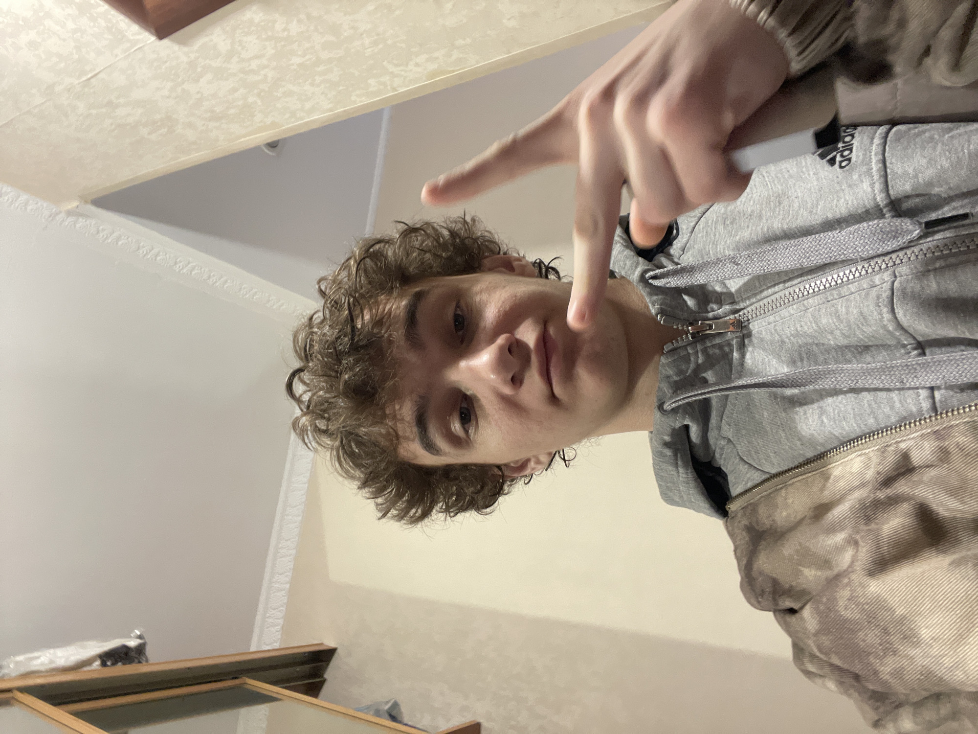 A young man with curly brown hair poses indoors. He is wearing a grey Adidas hoodie and has his hand raised, making a peace sign. The background features a white ceiling and walls.