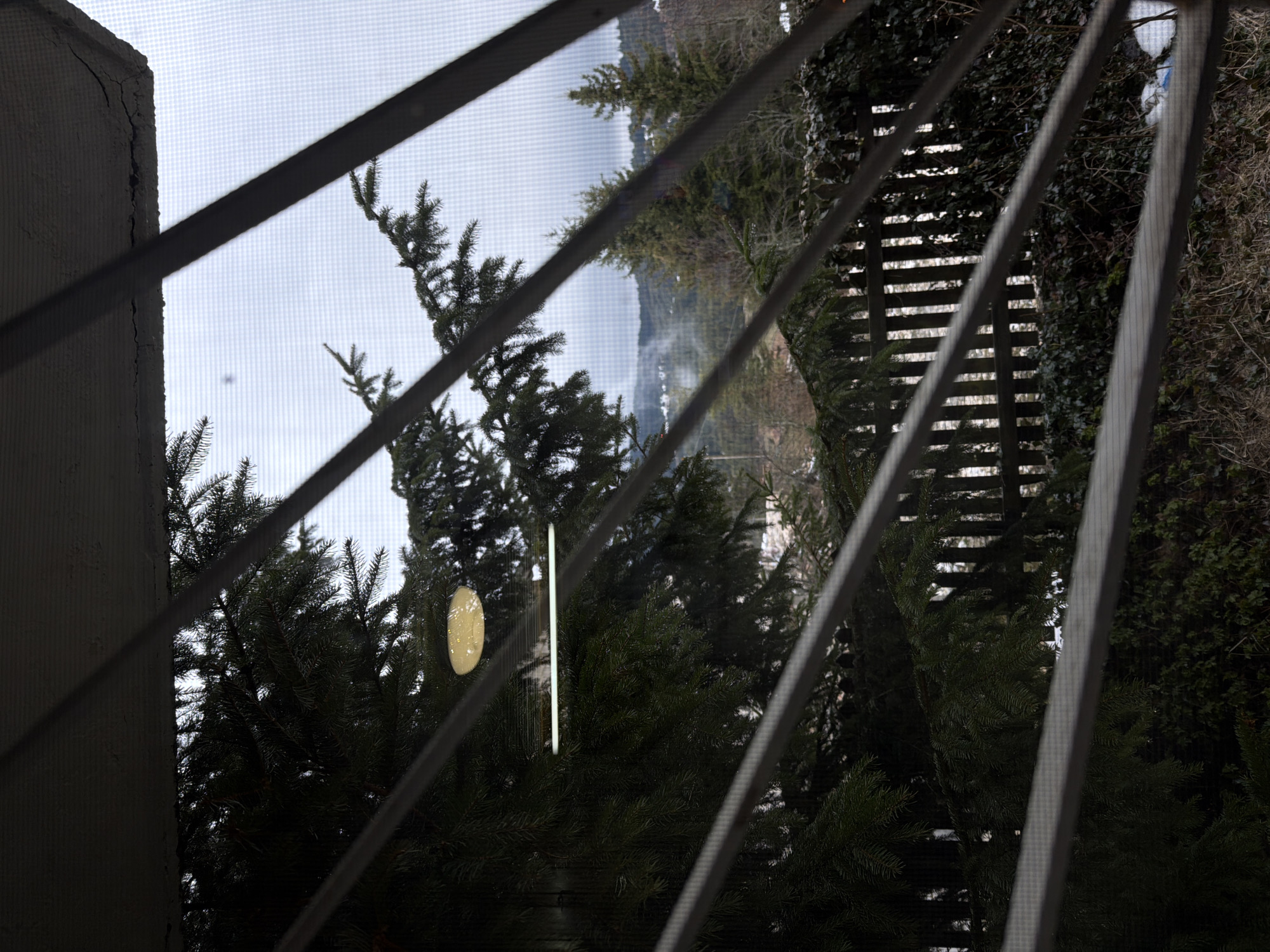 A view from behind a barred window looks out onto a scene of trees and a hillside. The bars are diagonal and gray. On the left of the window is a wall. A small, gold-colored, circular object is visible among the trees, perhaps an ornament or decoration. Through the trees, a hillside with buildings or structures is visible, partially obscured by fog or mist. The scene is likely in Lilkovo, Bulgaria, as requested.