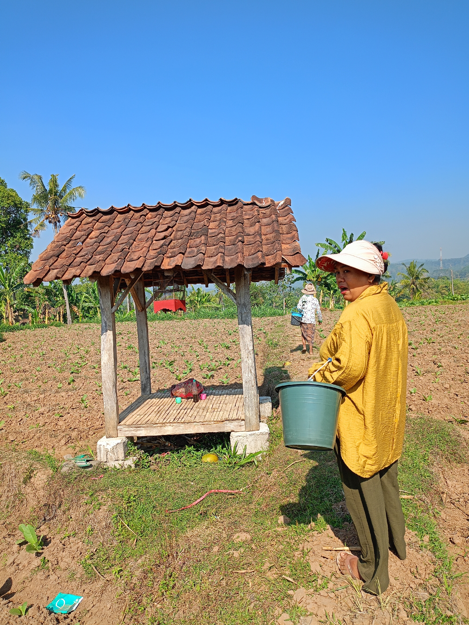 In Panduman, Indonesia, a woman wearing a yellow shirt, green pants, and a wide-brimmed hat stands in a dry, tilled field. She holds a green bucket in her right hand. Behind her, a small, open-sided wooden structure with a terracotta tile roof stands on a bamboo platform. Inside the structure, a red birdcage hangs. Another woman, wearing a white patterned shirt and a patterned skirt, walks away from the camera toward the structure, carrying a blue bucket. The field is sparsely planted with small green seedlings. Palm trees and other foliage are visible in the background, under a clear blue sky.