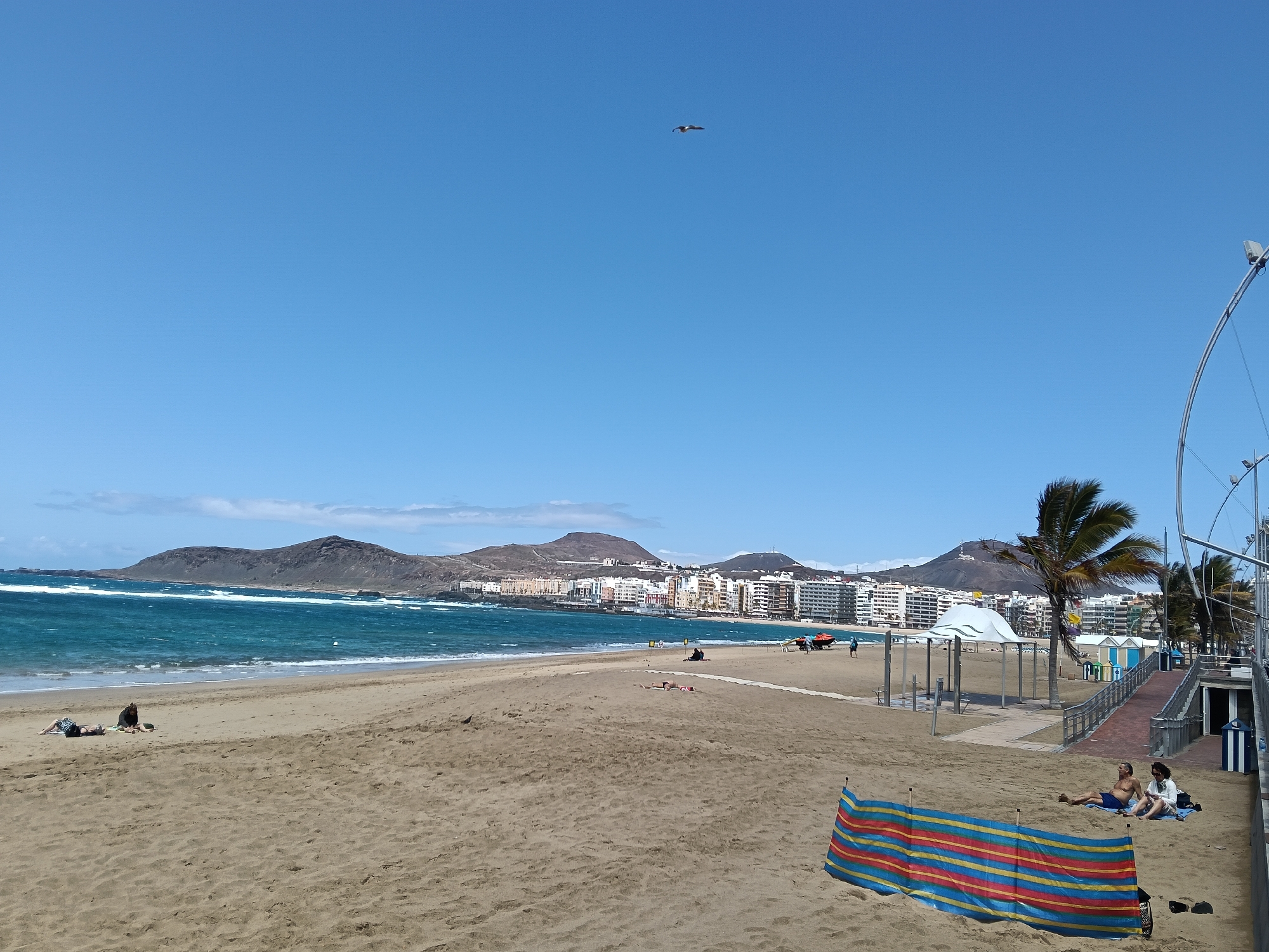 The image shows a beach in Las Palmas, Spain. The sky is a clear blue with a bird flying. In the distance are mountains and buildings. In the foreground, the sand is a light brown color. There are people lying on the beach, with a striped windbreaker. There are palm trees near the right side of the image. The water has waves.