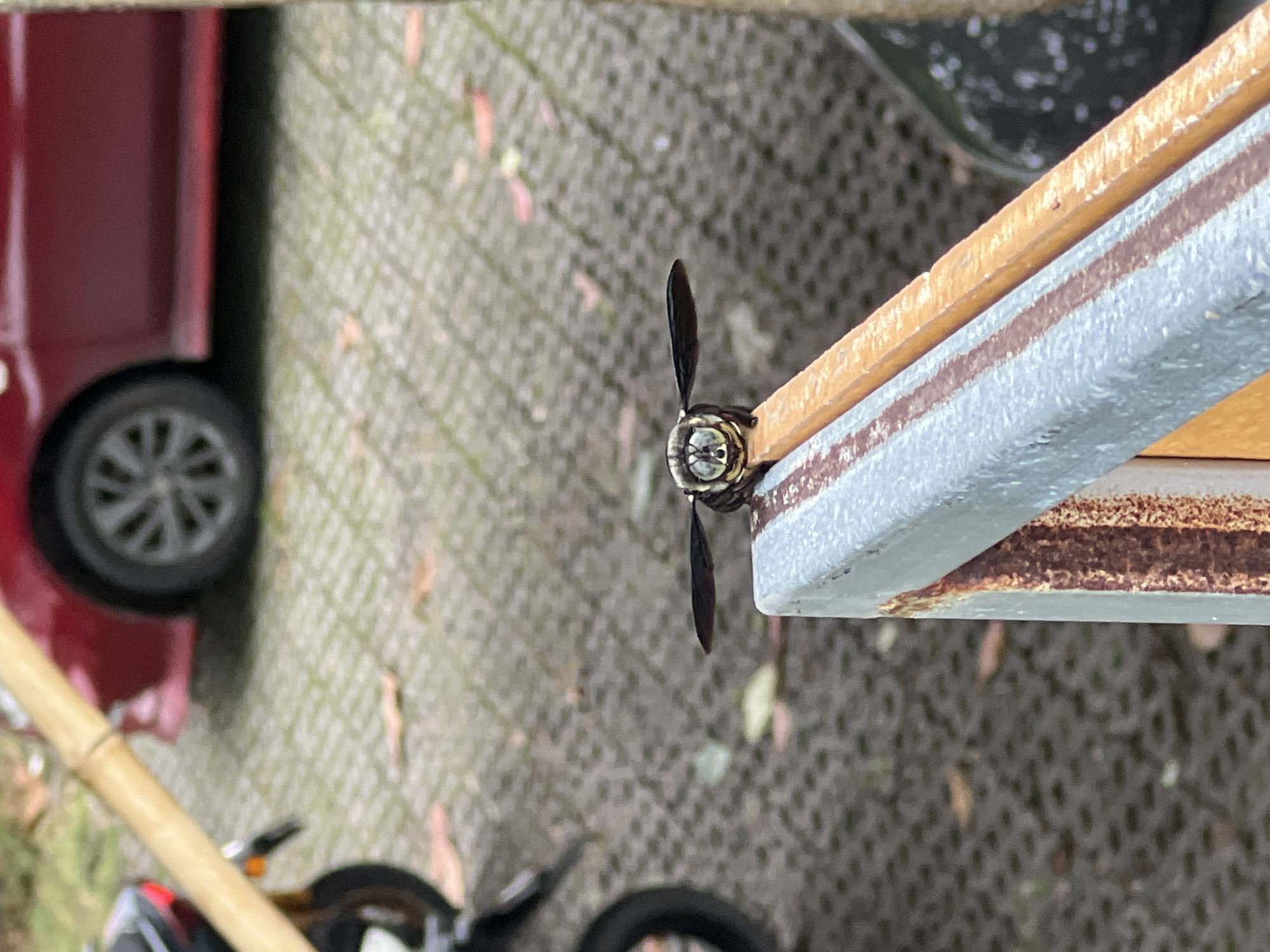 A close-up shot shows a two-bladed propeller of a small wooden model airplane mounted on a painted wooden frame. In the periphery, the blurred image includes a red vehicle with a black wheel, a bamboo stick, and the partial view of a motorcycle with its wheels. The background is composed of interlocking stones of a sidewalk or patio. The image location is indicated as Baan Chaweng Noi, Thailand.