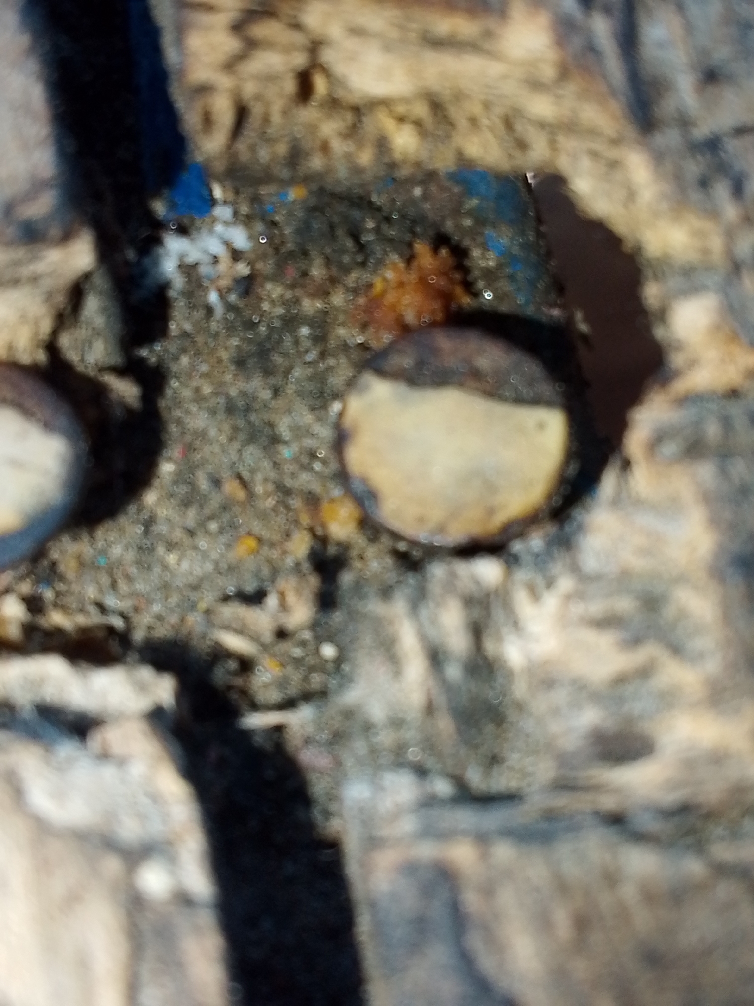 The image shows a close-up of weathered wood with embedded circular objects that appear to be fasteners or decorative elements. The wood has a rough texture and varying shades of brown and grey. There is also a small area with dark, granular material and small colored flecks. The scene is indistinct, lacking clear subjects or actions. The location in Lhokseumawe, Indonesia is not apparent from the image.