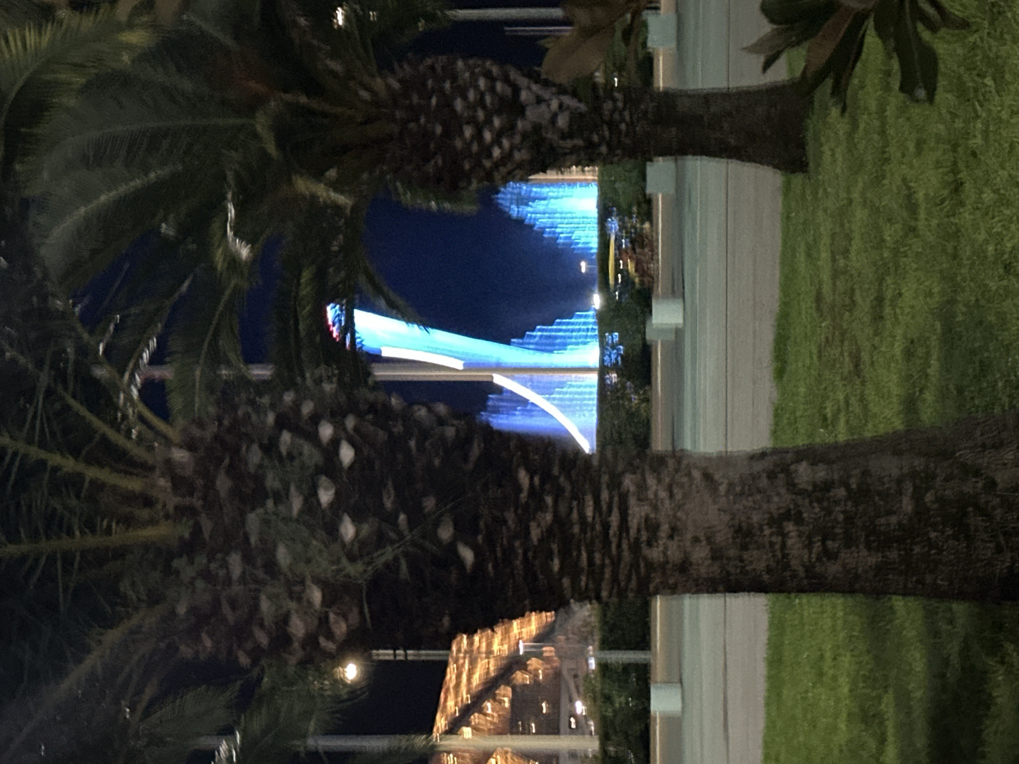 The image captures a nighttime view of the Olympic Park in Sochi, Russia, specifically focusing on the fountain show. In the foreground, two palm trees stand prominently, their trunks textured and dark, partially obscuring the background. The fronds of the palm trees are visible, dark against the night sky. Behind the palm trees, the illuminated Olympic Park fountain is the central attraction. Water jets are illuminated with vibrant blue and white lights, creating a dynamic and mesmerizing display. The fountain's structure is visible, with streaks of light suggesting the movement of water. In the far left background, a building with golden lights is visible, possibly part of the Olympic infrastructure. The ground in the foreground consists of green grass and a paved area, with white concrete planters. The overall scene is a vibrant showcase of light and water against the dark backdrop of the night. There are no people visible in the image.