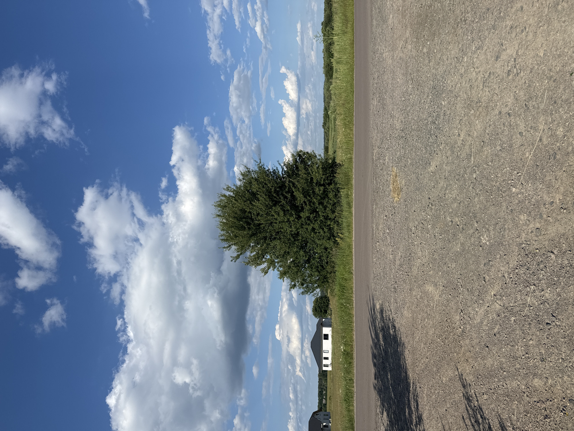 The image depicts an outdoor scene with a focus on a rural landscape under a bright, cloudy sky. The perspective is from a gravel road that runs diagonally across the right side of the frame. To the left of the road, a strip of green grass and vegetation separates it from a field. In the field, a modern white house with a dark roof and multiple windows is visible. Further in the distance, a dense green tree stands prominently. The sky is a vivid blue, populated by scattered white cumulus clouds, some of which are quite large and dramatic. The sun appears to be high in the sky, casting distinct shadows from the tree onto the road, suggesting it is likely midday. The overall impression is one of a sunny, clear day in a rural setting, possibly in Ukraine, given the location context. There are no people visible in the image, nor is any text present.