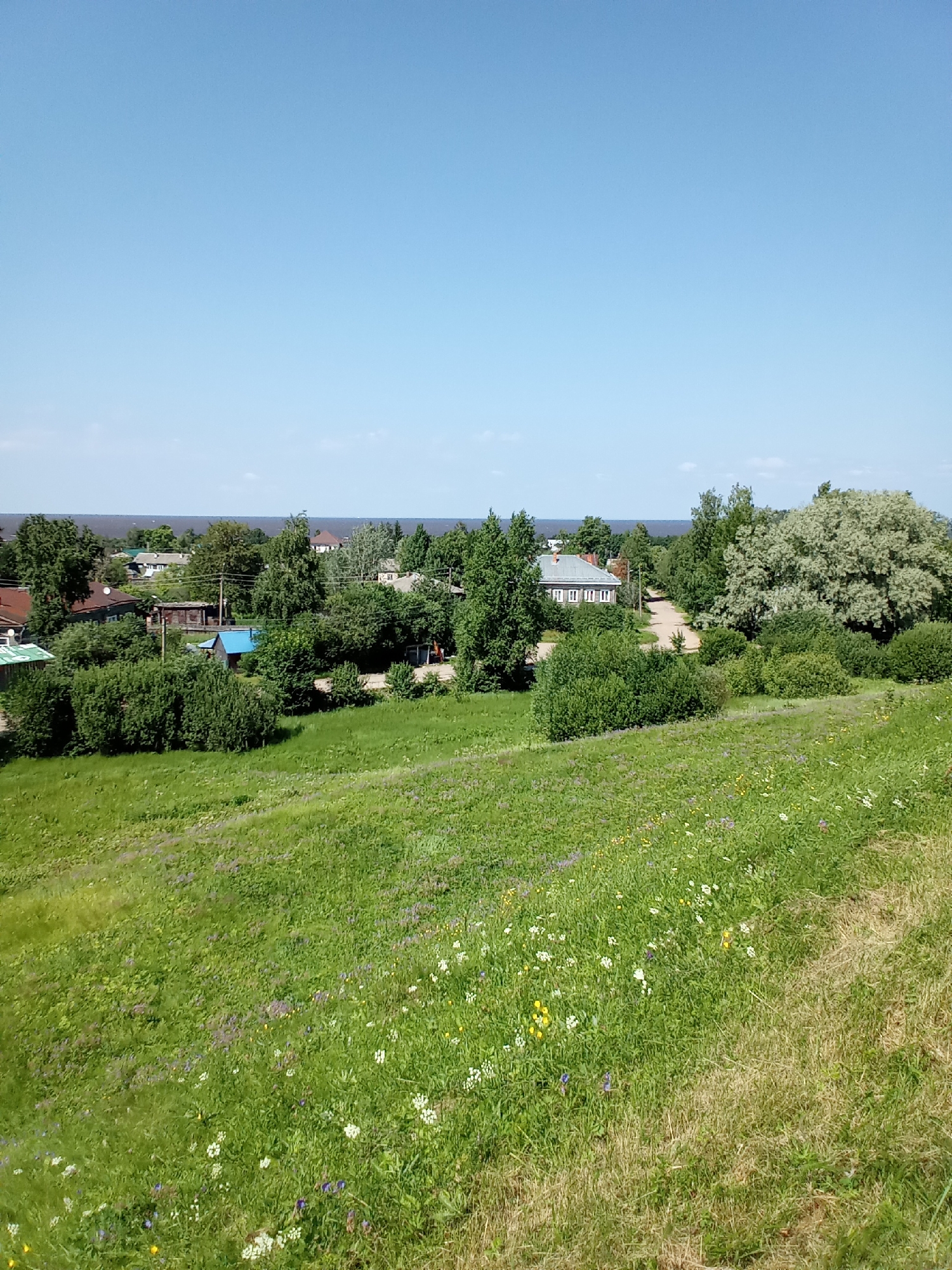 The image depicts a scenic view of the city of Belozersk, Russia, on a clear, sunny day. The foreground is dominated by a lush, green grassy hillside dotted with wildflowers of various colors, including purple, white, and yellow. The hillside slopes gently upwards towards the right of the frame.
In the midground, a cluster of houses and trees forms a semi-rural landscape. The houses appear to be of a traditional design, with some featuring red or brown roofs and wooden facades. One house stands out with a bright blue roof. Dense green bushes and trees surround the dwellings, creating a sense of enclosure. A dirt road or pathway winds through the settlement, connecting the houses.
In the background, a wide expanse of dark water, likely a lake or river, stretches across the horizon, meeting a pale blue sky. The distant shoreline is lined with more trees, some of which are quite tall and mature, contributing to a verdant and natural environment. The overall atmosphere is peaceful and serene, capturing a glimpse of everyday life in this Russian locality.