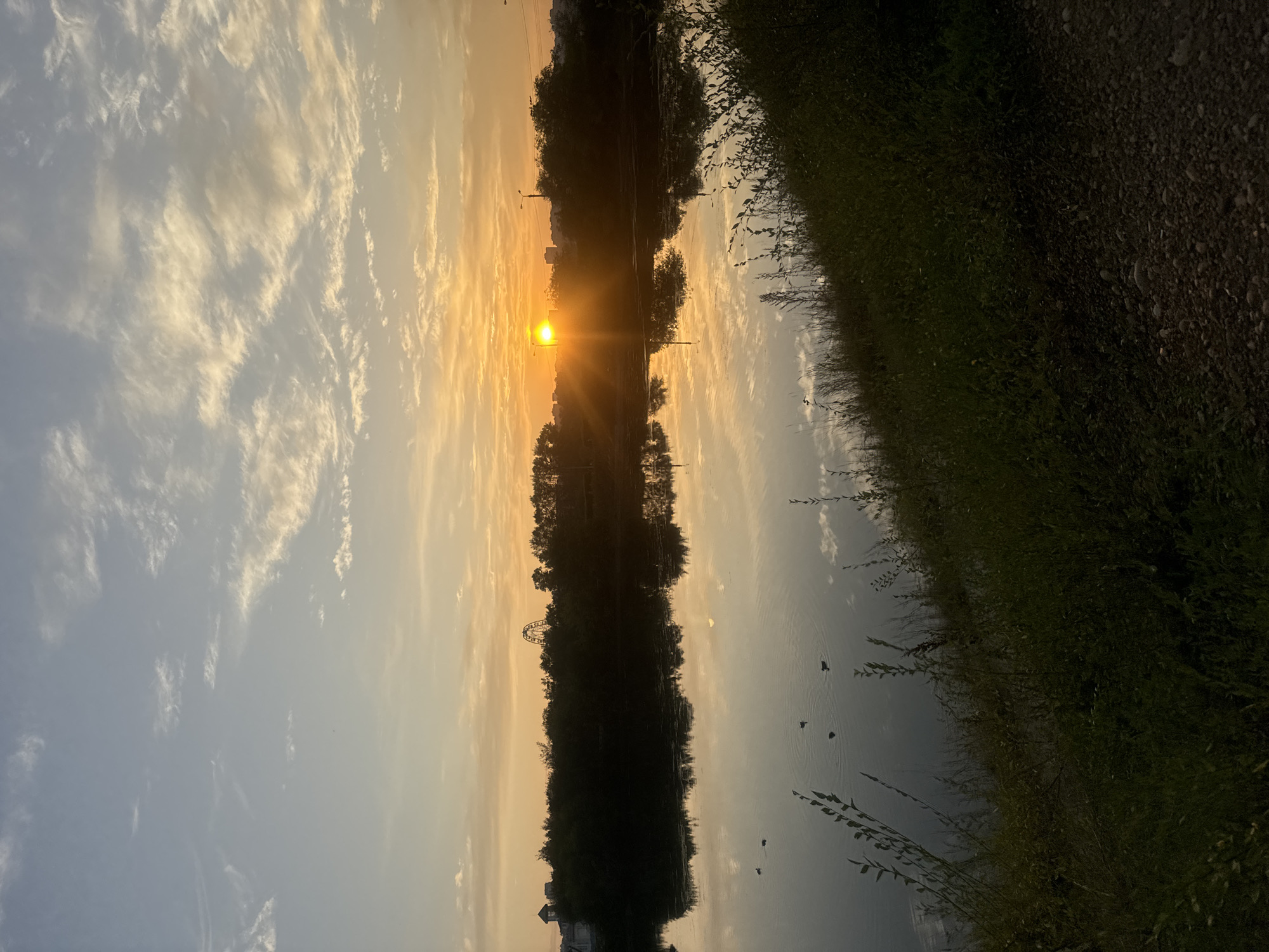 The image depicts a serene sunset over a body of water, likely a lake or river, bordered by lush greenery and a silhouetted treeline. The sky is a canvas of soft blues and warm oranges, with wispy clouds illuminated by the setting sun, which is positioned just above the horizon, casting a bright, radiating glow. The tranquil water perfectly mirrors the sky and the surrounding environment, creating a symmetrical and peaceful scene. A few ducks are visible in the water, adding a touch of life to the landscape. In the distance, a Ferris wheel and buildings can be seen, suggesting an urban setting. The foreground features tall grasses and a gravel path, typical of a park or natural recreational area. The overall atmosphere is one of tranquility and natural beauty, characteristic of a lakeside park. The presence of a Ferris wheel suggests a location like Irkutsk, Russia, where such attractions are common in recreational areas.