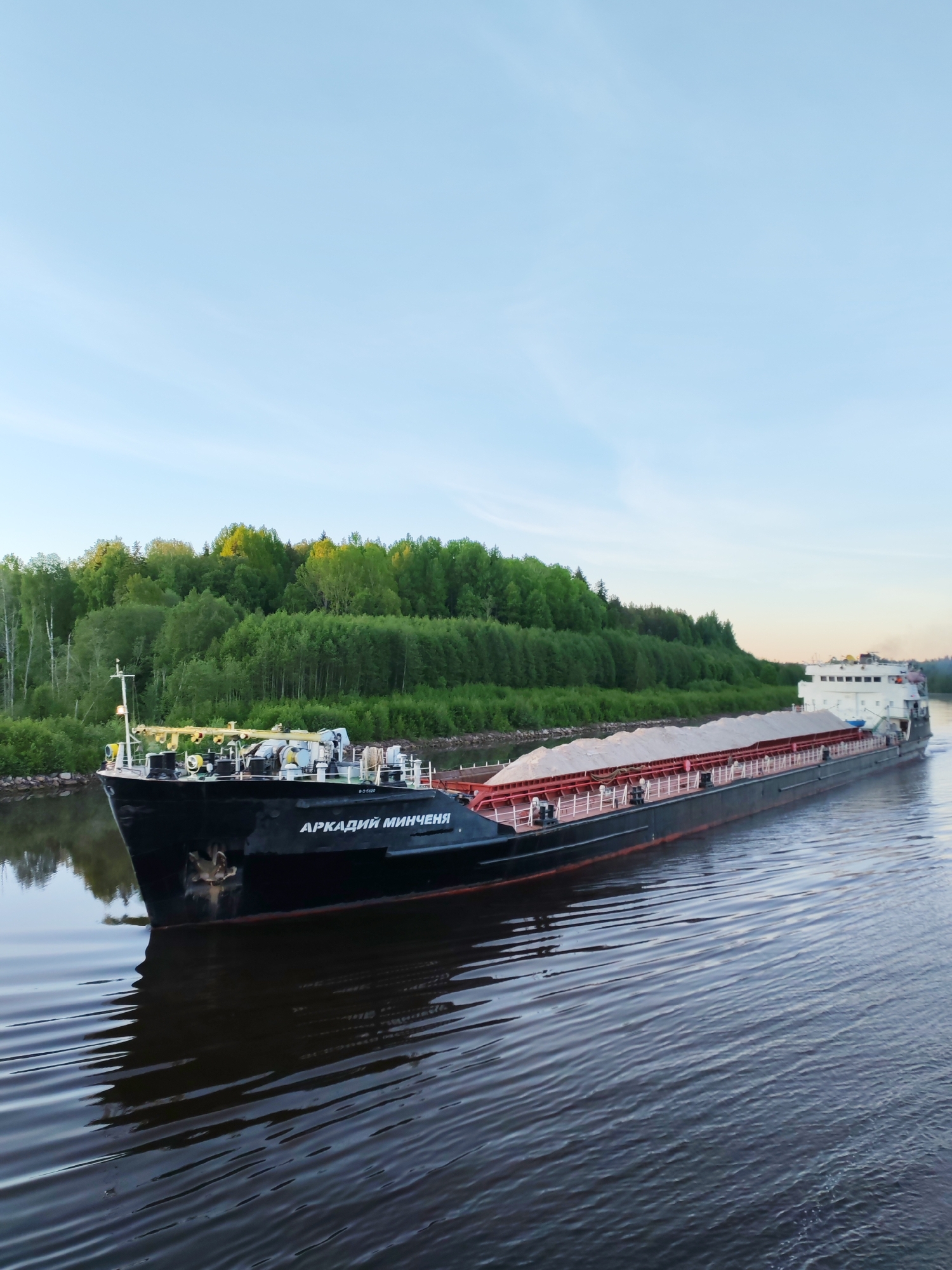 A long cargo ship, identified by the name "АРКАДИЙ МИНЧЕНЯ" (ARKADIY MINCHENYA) prominently displayed in white letters on its black hull, navigates a tranquil river or canal in Volokov Most, Russia. The ship, which appears to be a bulk carrier or barge, is heavily laden with a light-colored, granular material, possibly sand or gravel, filling its open cargo holds and peaking above the red-painted railings. Its stern features a white multi-deck superstructure. A hull number "B-2-5420" is also visible near the bow.
The vessel moves steadily through the calm, dark blue-green water, leaving only subtle ripples in its wake. The riverbanks are densely forested with lush green deciduous trees, which reflect faintly on the water's surface. The top of the treeline on the left bank is touched by warm, golden sunlight, suggesting either late afternoon or early evening. The sky above is a clear, pale blue, indicating fair weather. The scene captures a moment of quiet industrial transportation amidst a natural and serene landscape. No people are clearly visible on the vessel or banks, contributing to the peaceful atmosphere.